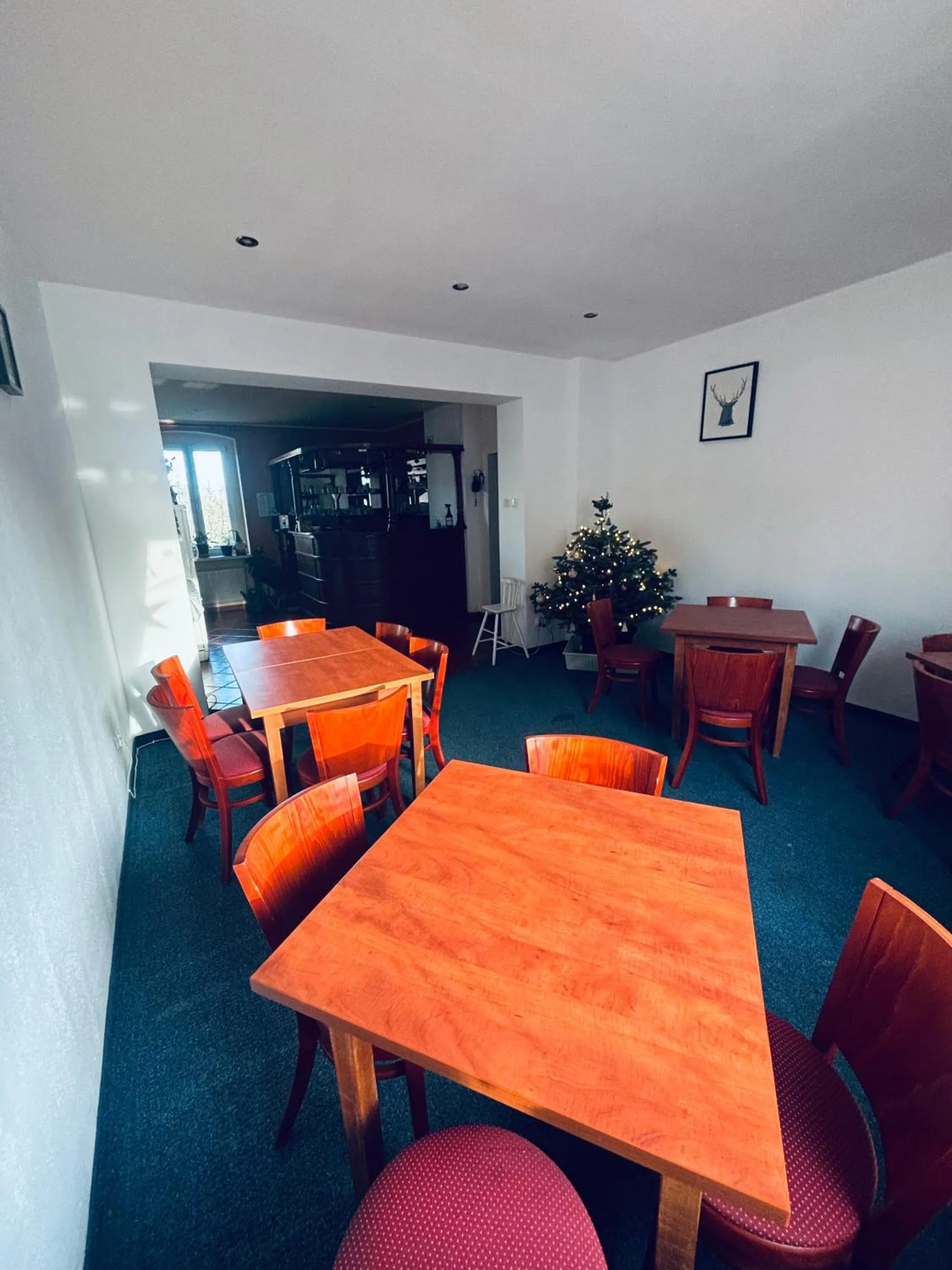 Kitchen or kitchenette in Willa Pod Wieżami