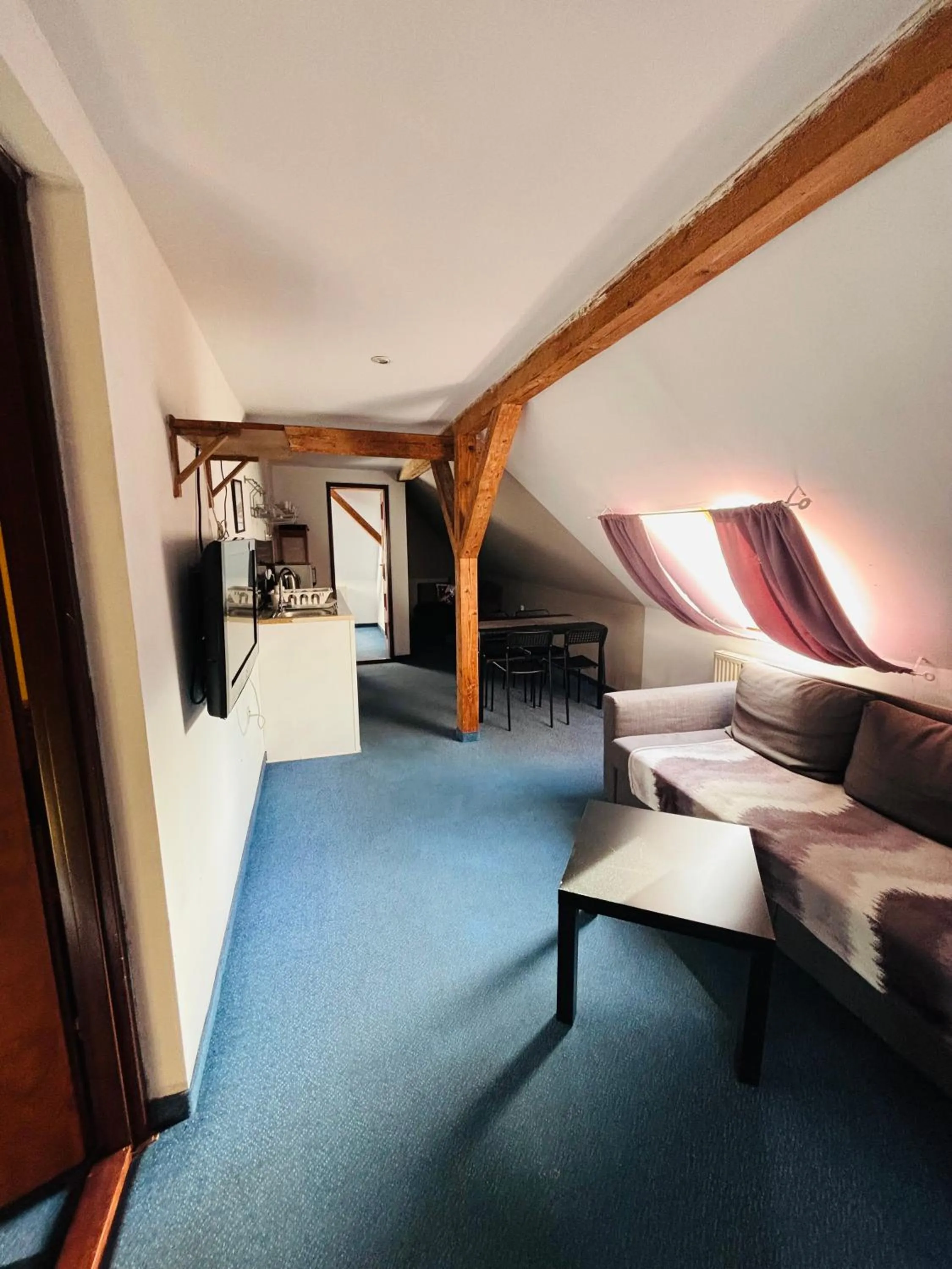 TV and multimedia in Willa Pod Wieżami