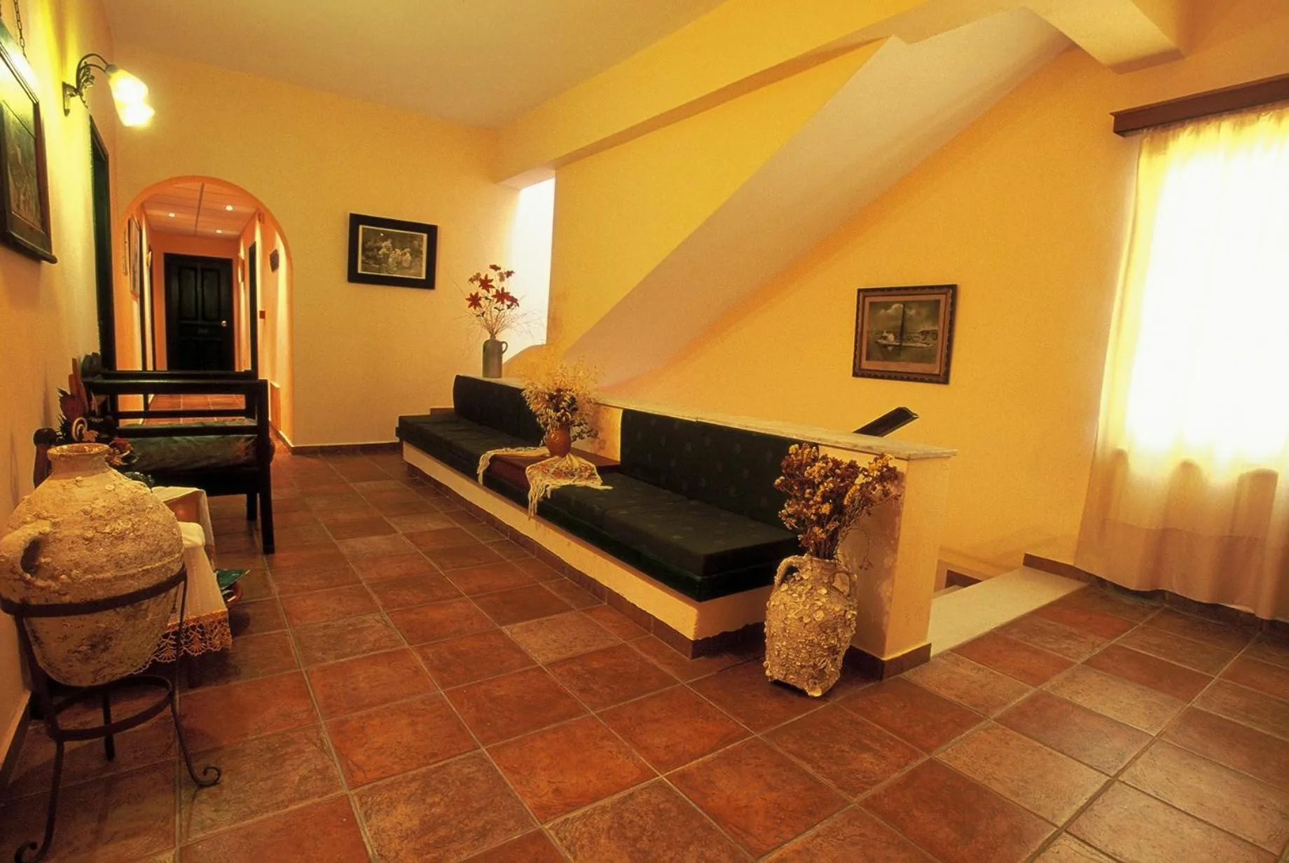 Area and facilities in Apollon Hotel