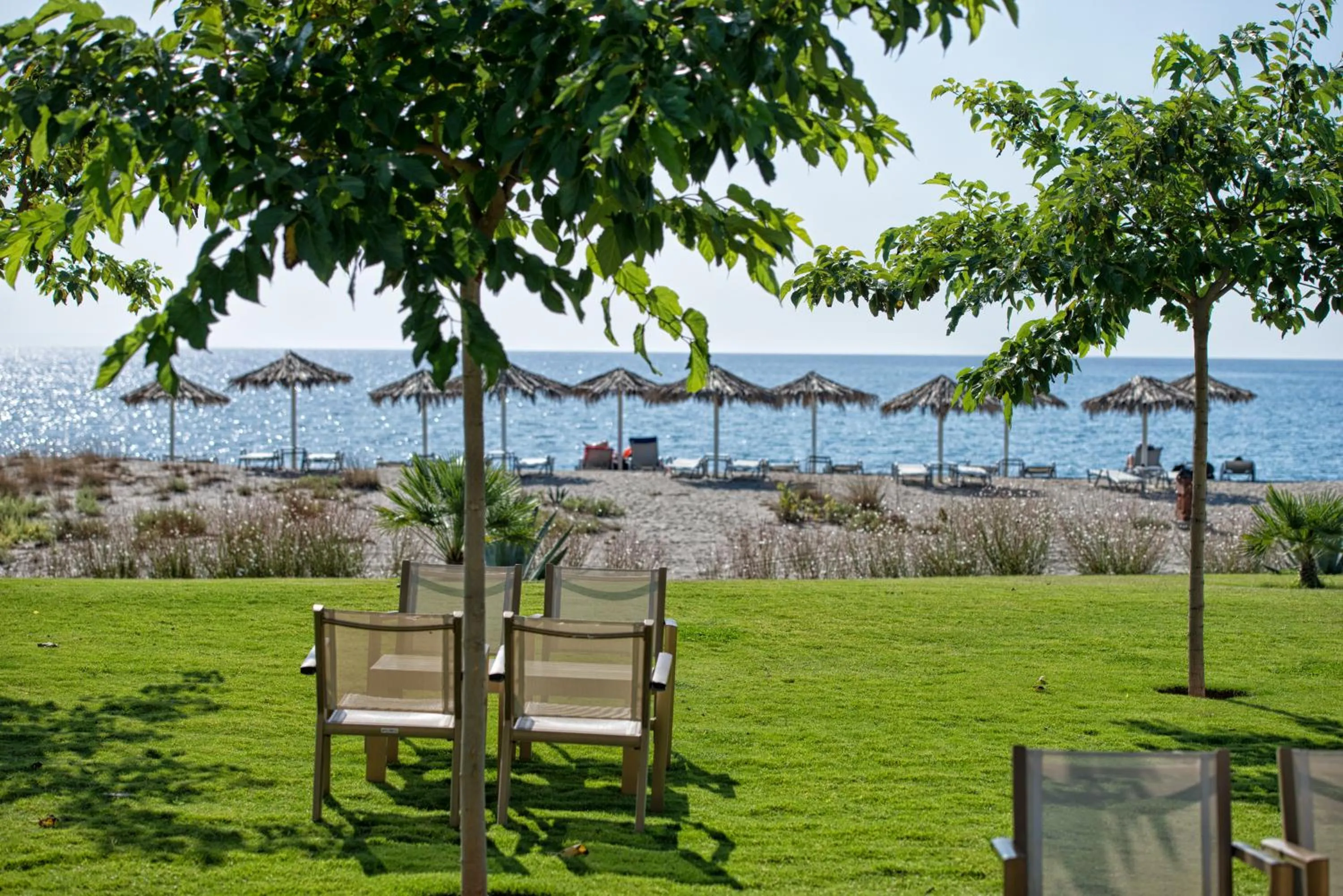 Garden in Castello Antico Hotel