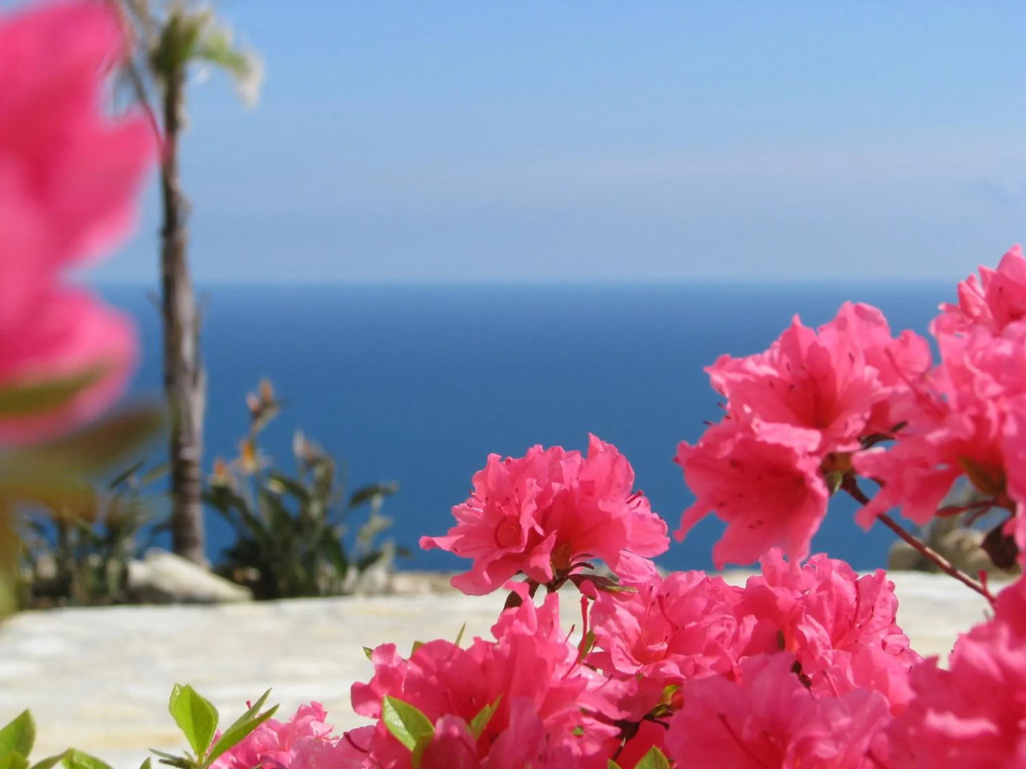 Decorative detail in Hotel Antica Cascina Del Golfo