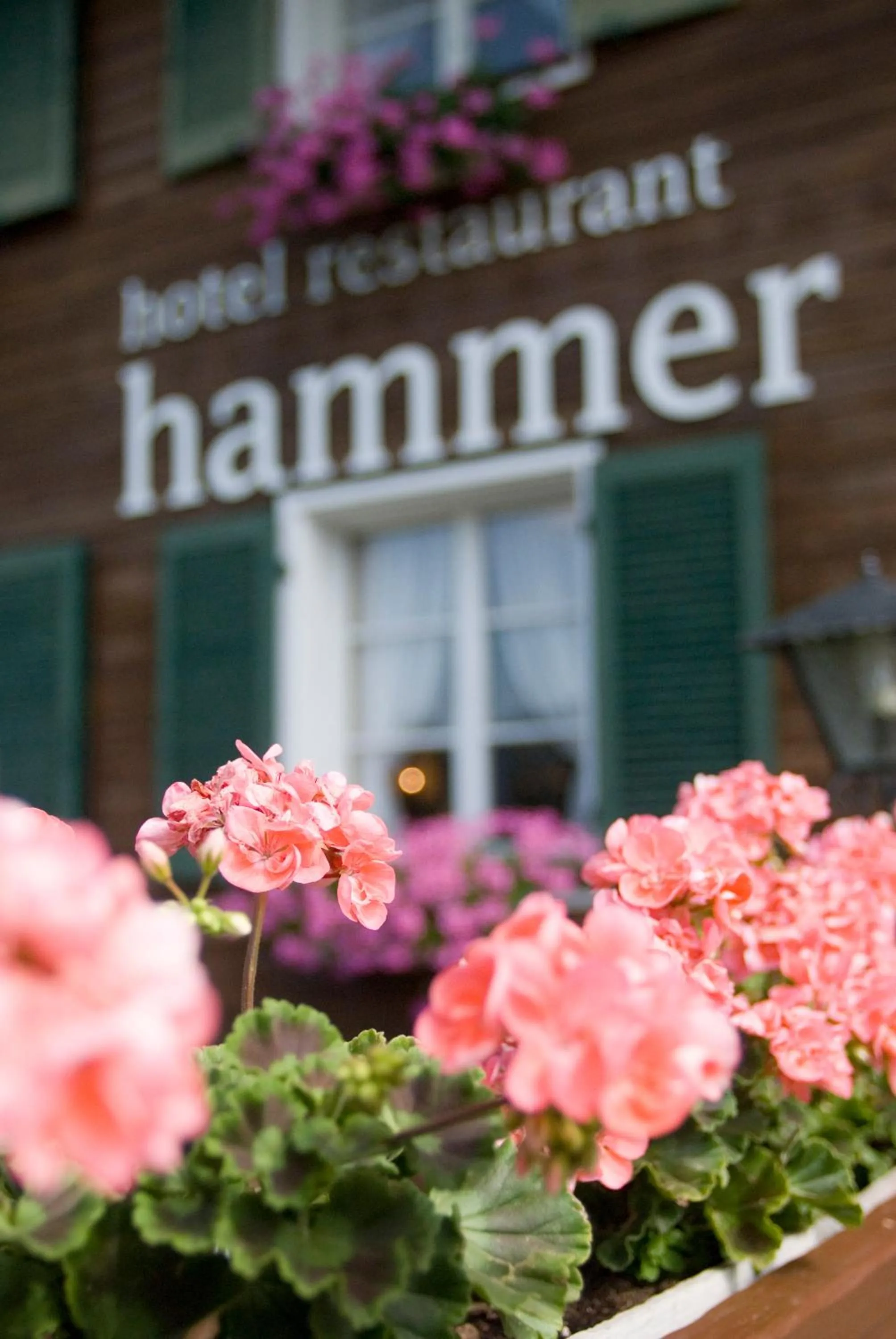 Property logo or sign in Hotel Restaurant Hammer