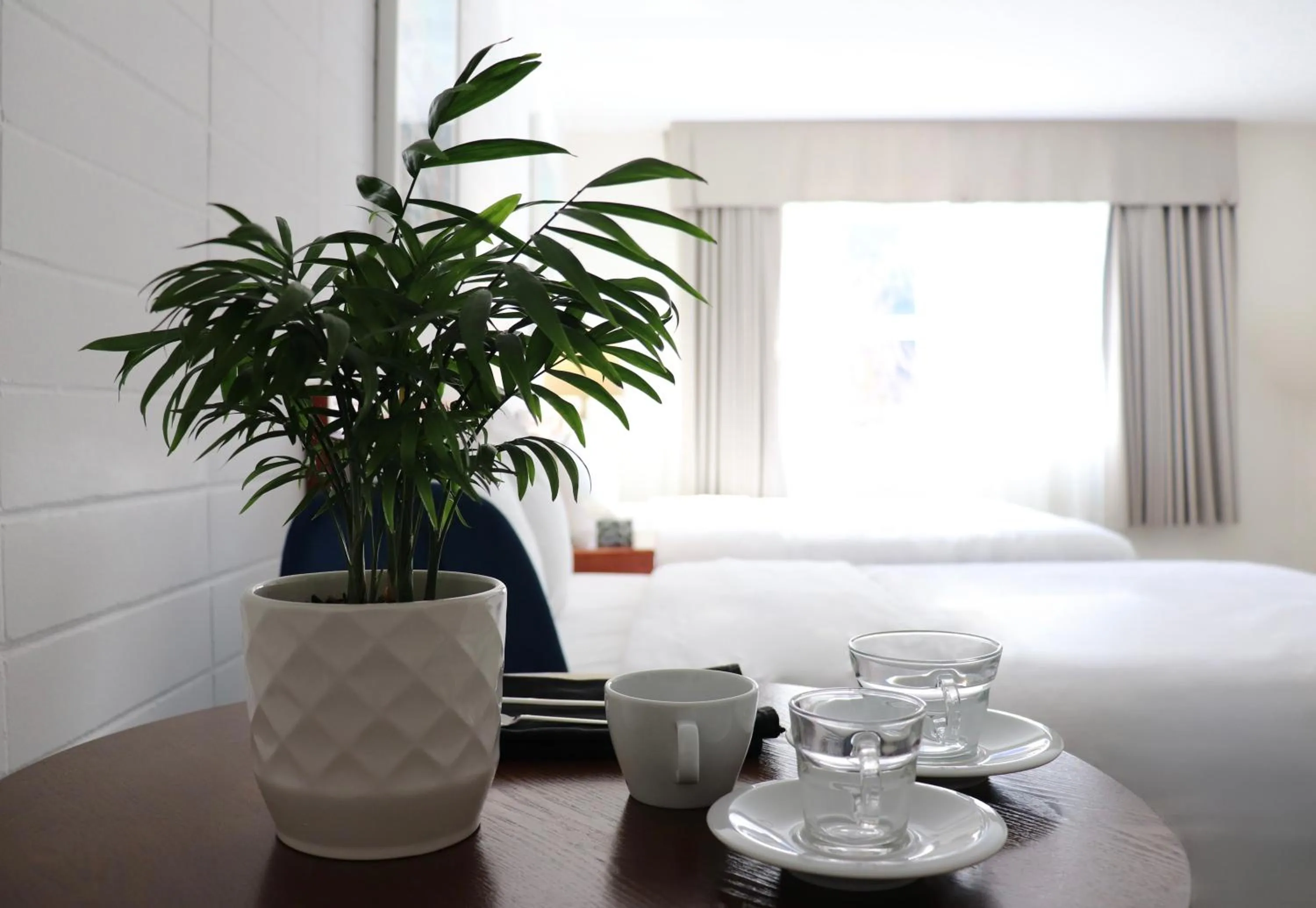 Coffee/tea facilities, Bed in August Jack Inn