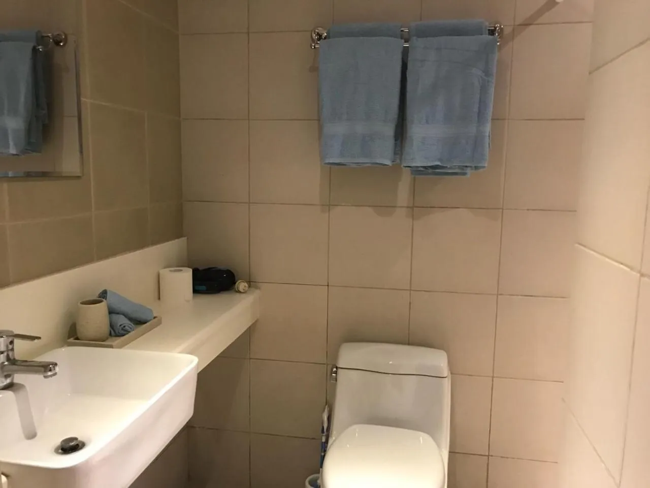 Shower in Portovita Towers