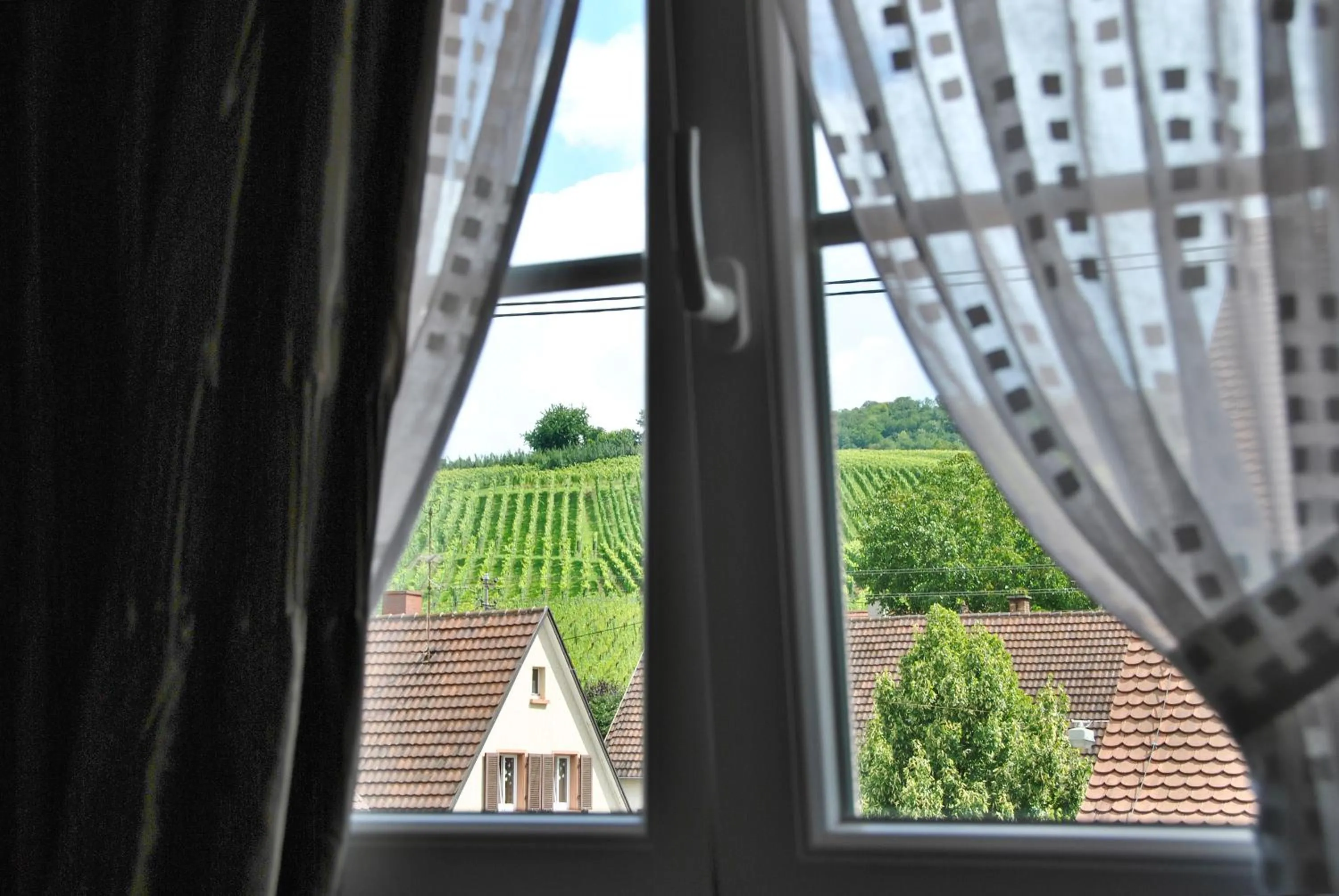 Area and facilities in Landgasthof Rebstock Weil am Rhein / Basel