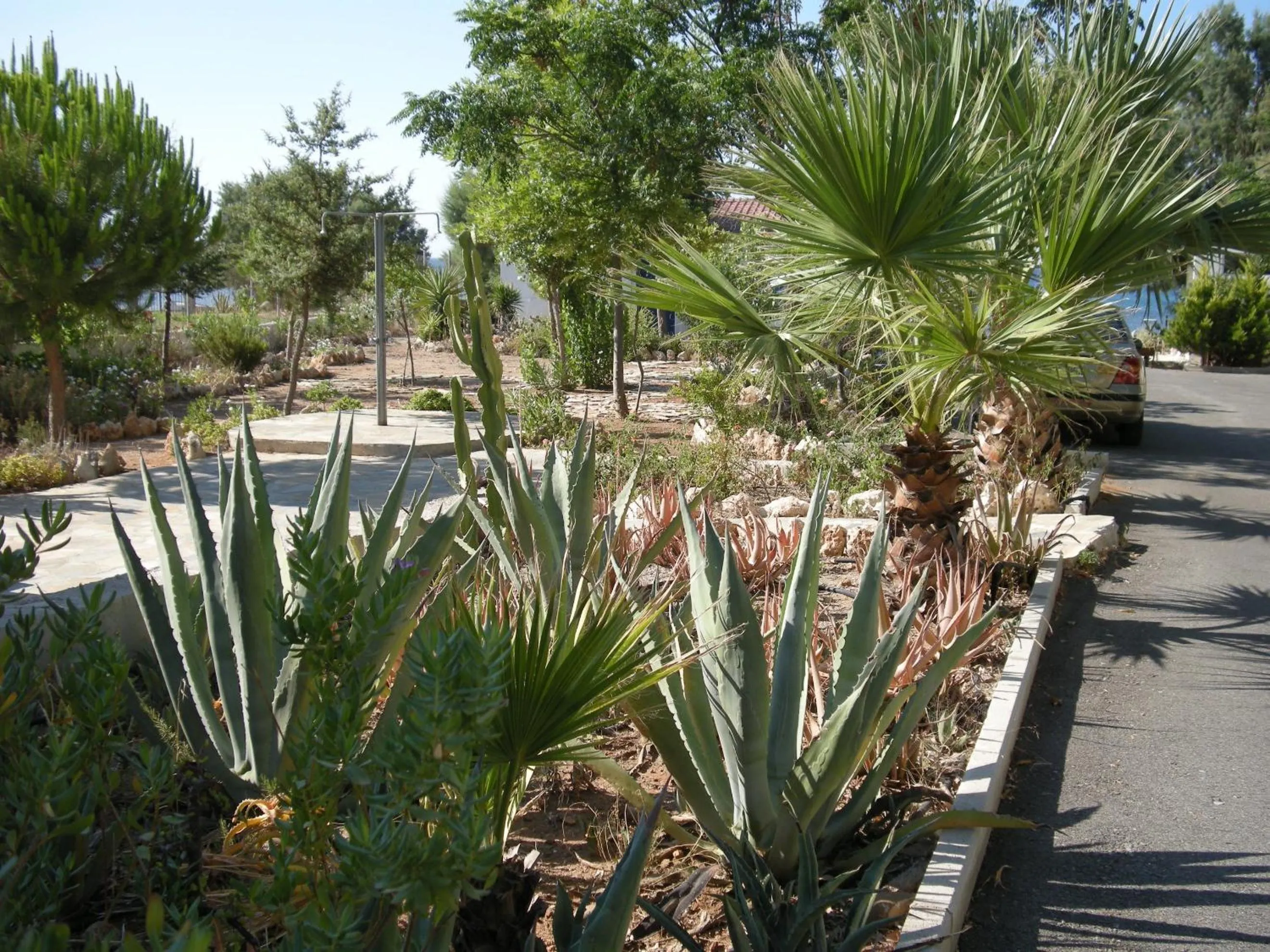 Garden in Mandorla Apartments