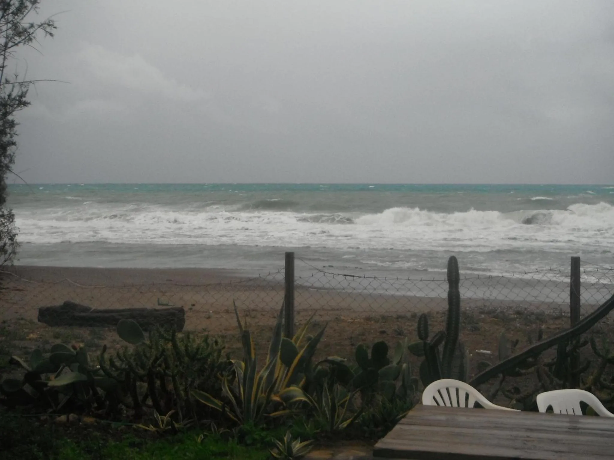 Garden in Mandorla Apartments