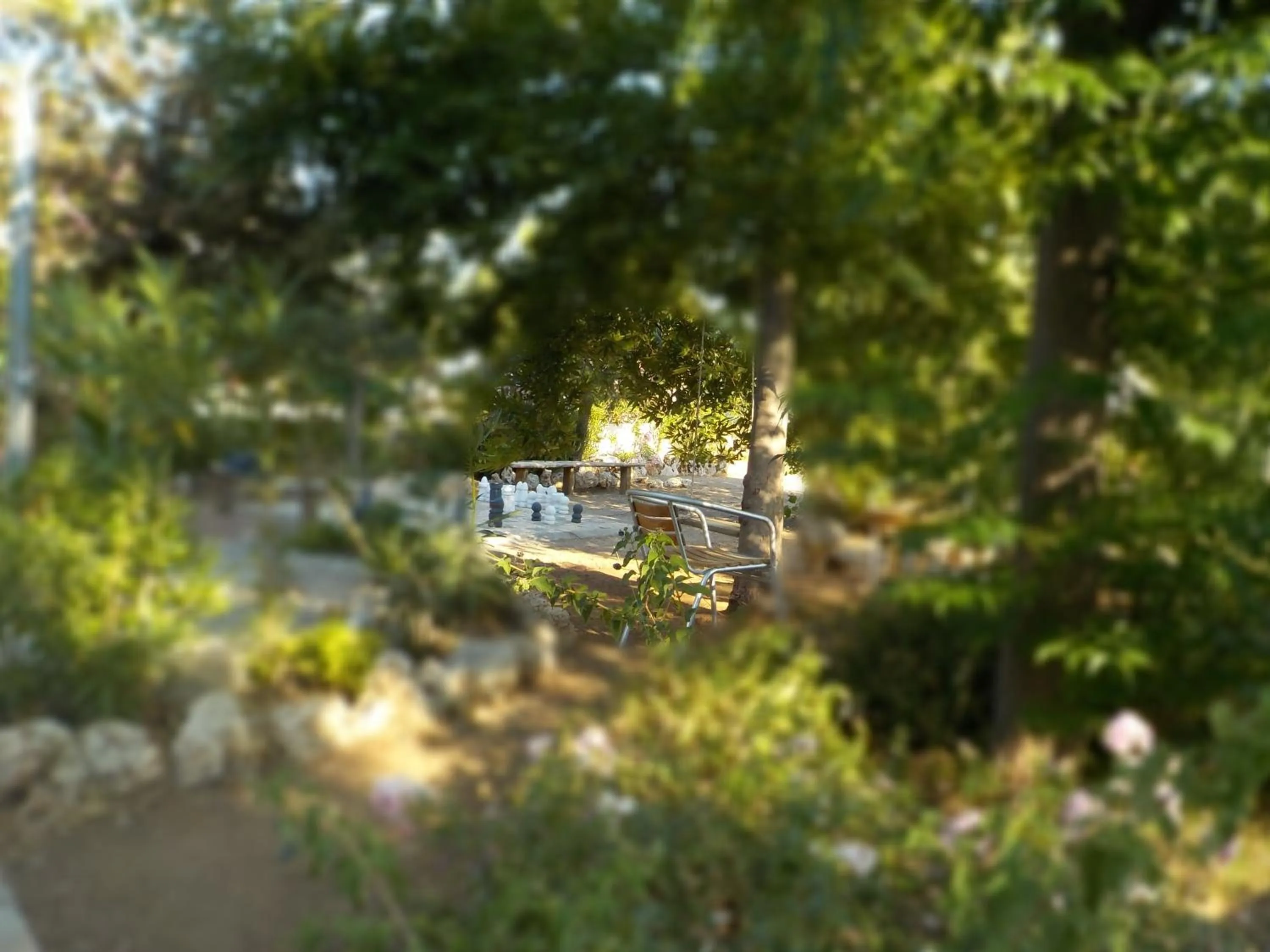 Garden in Mandorla Apartments