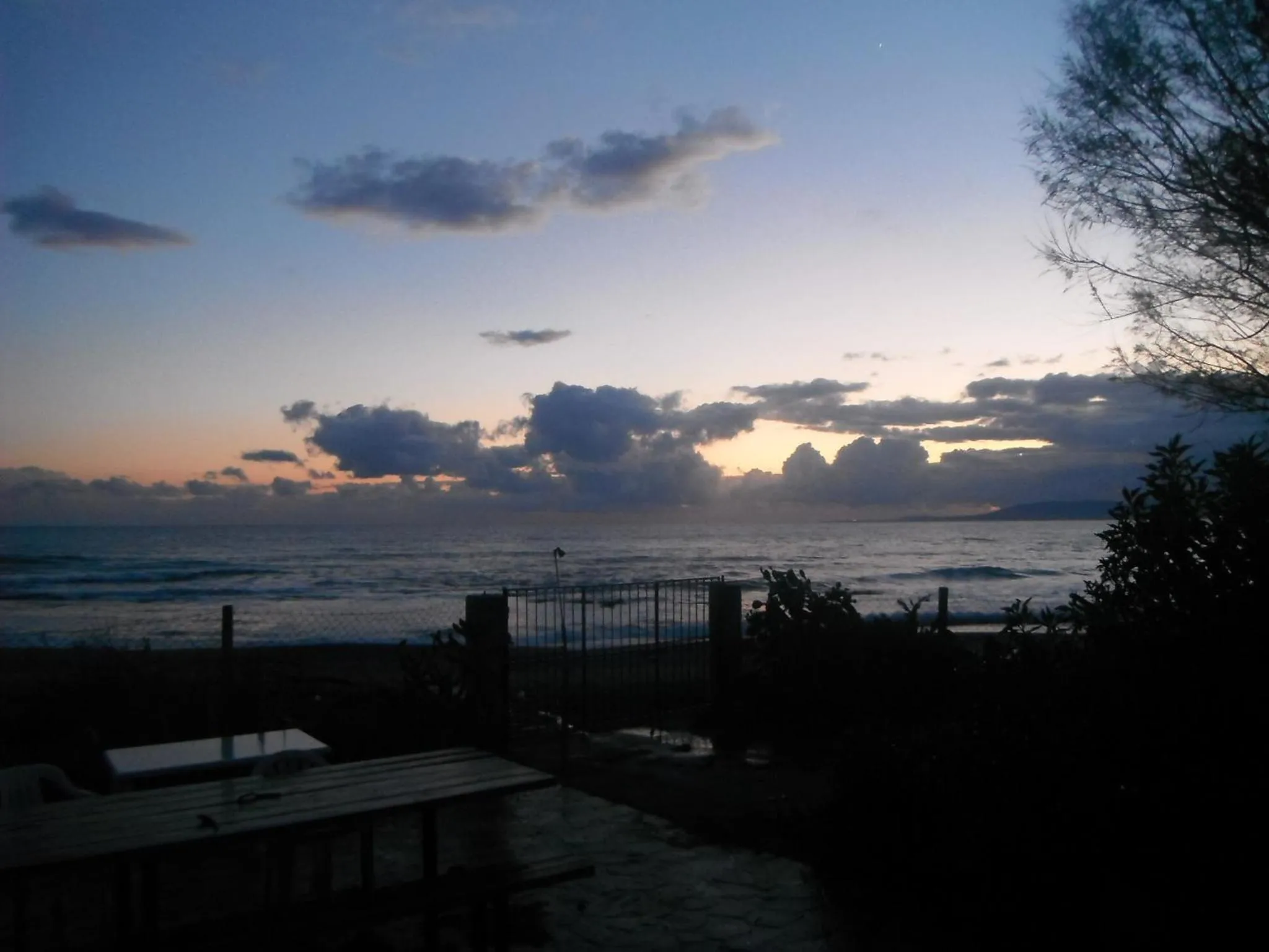 Garden in Mandorla Apartments
