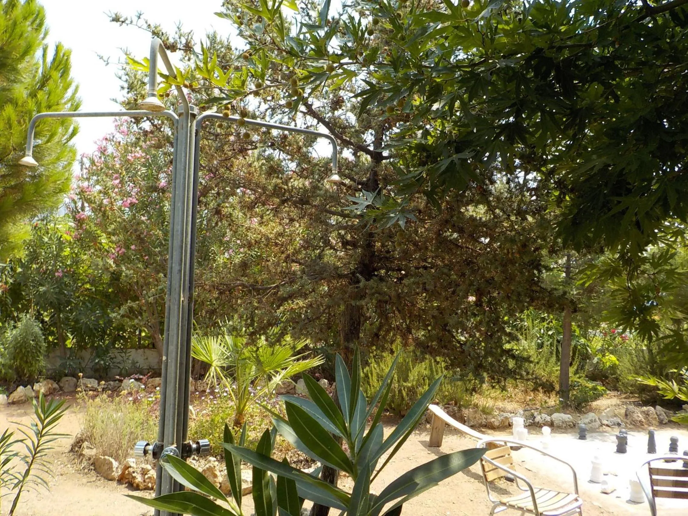 Shower in Mandorla Apartments