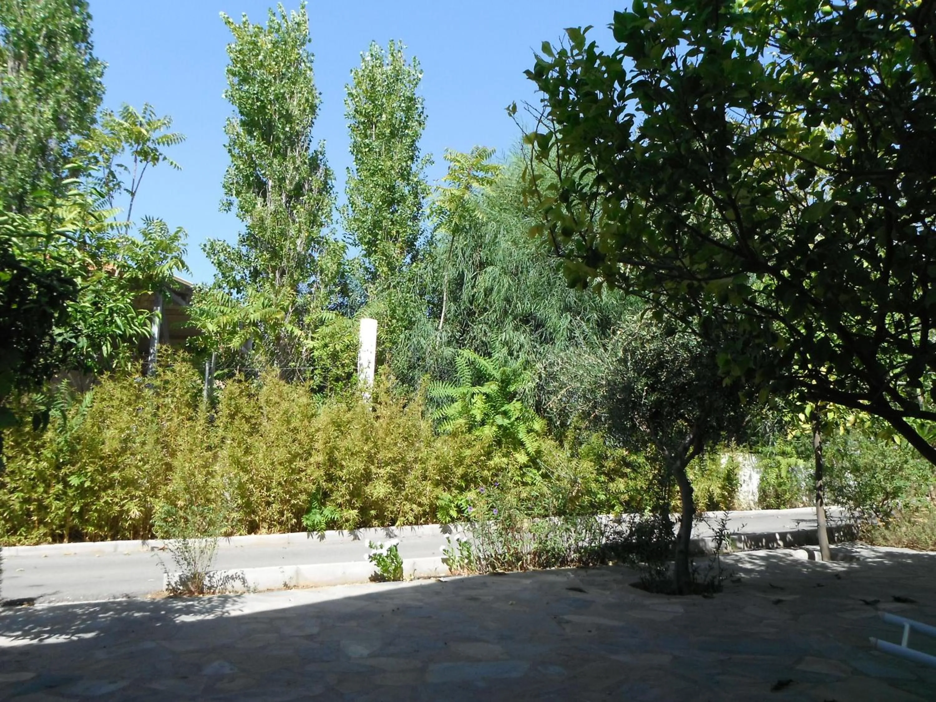 Garden view in Mandorla Apartments