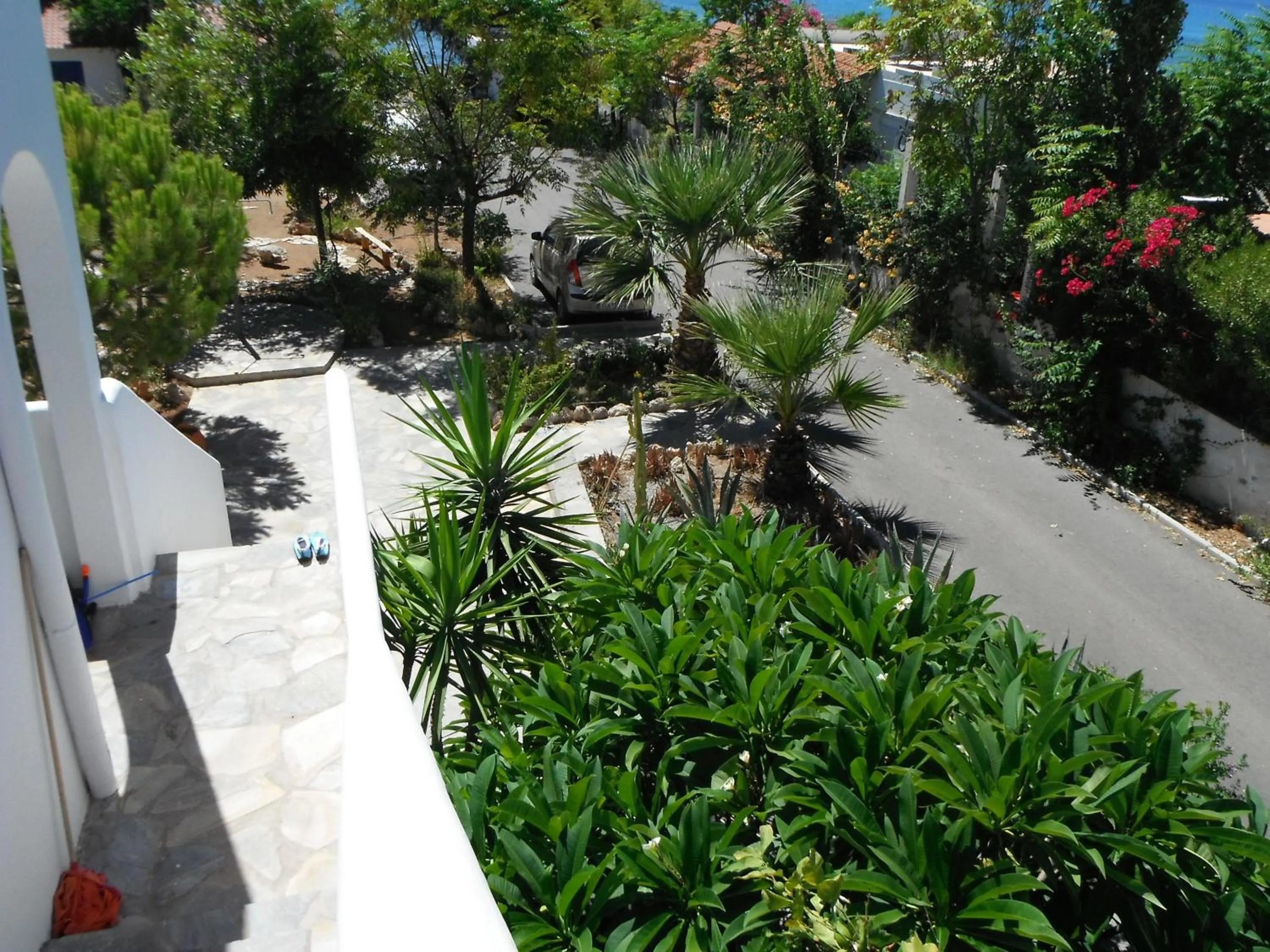Garden in Mandorla Apartments