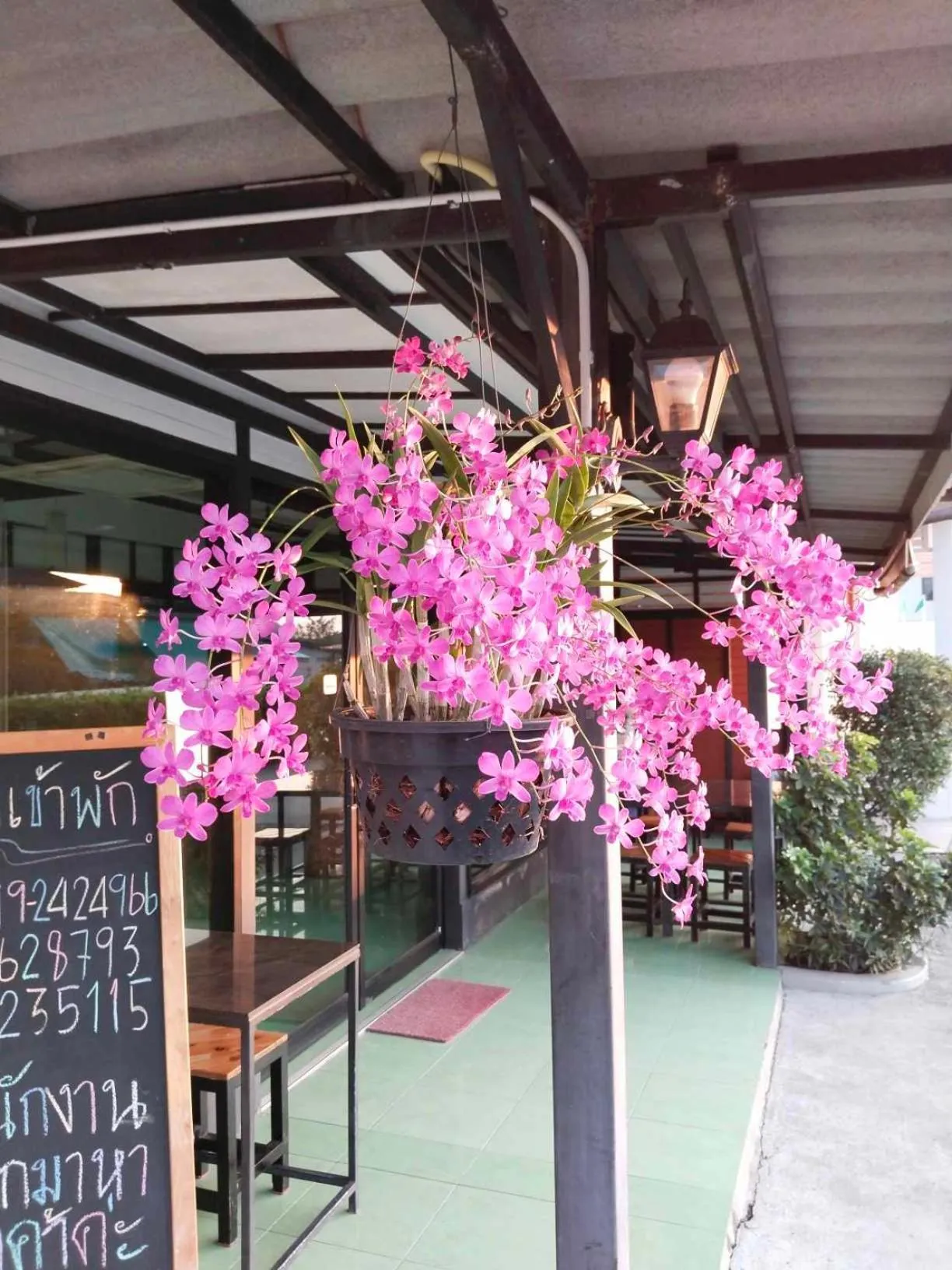 โรงแรมแอมไอม่อน - Am Amoonds Hotel