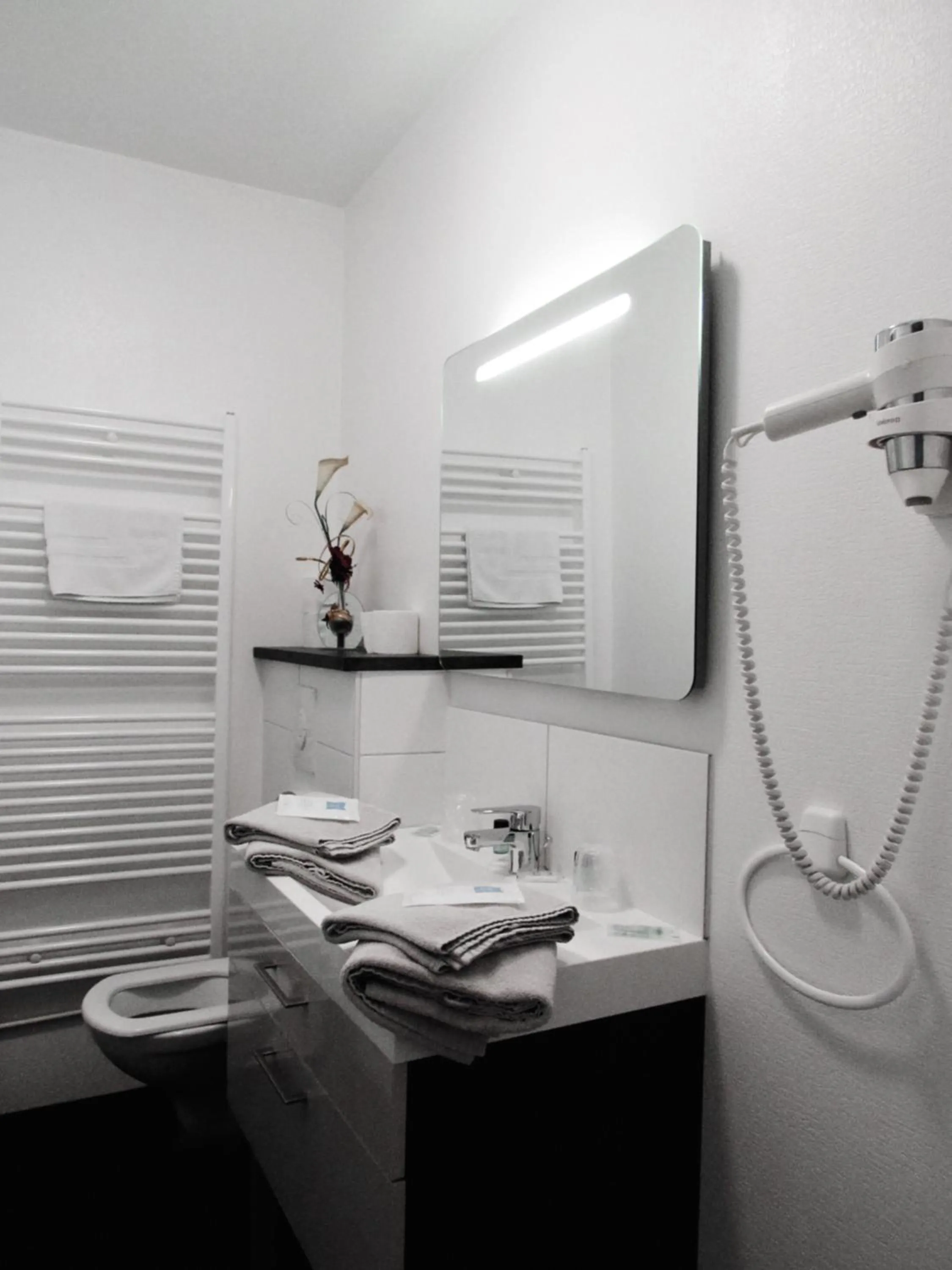 Toilet in Hotel Restaurant de la Marne