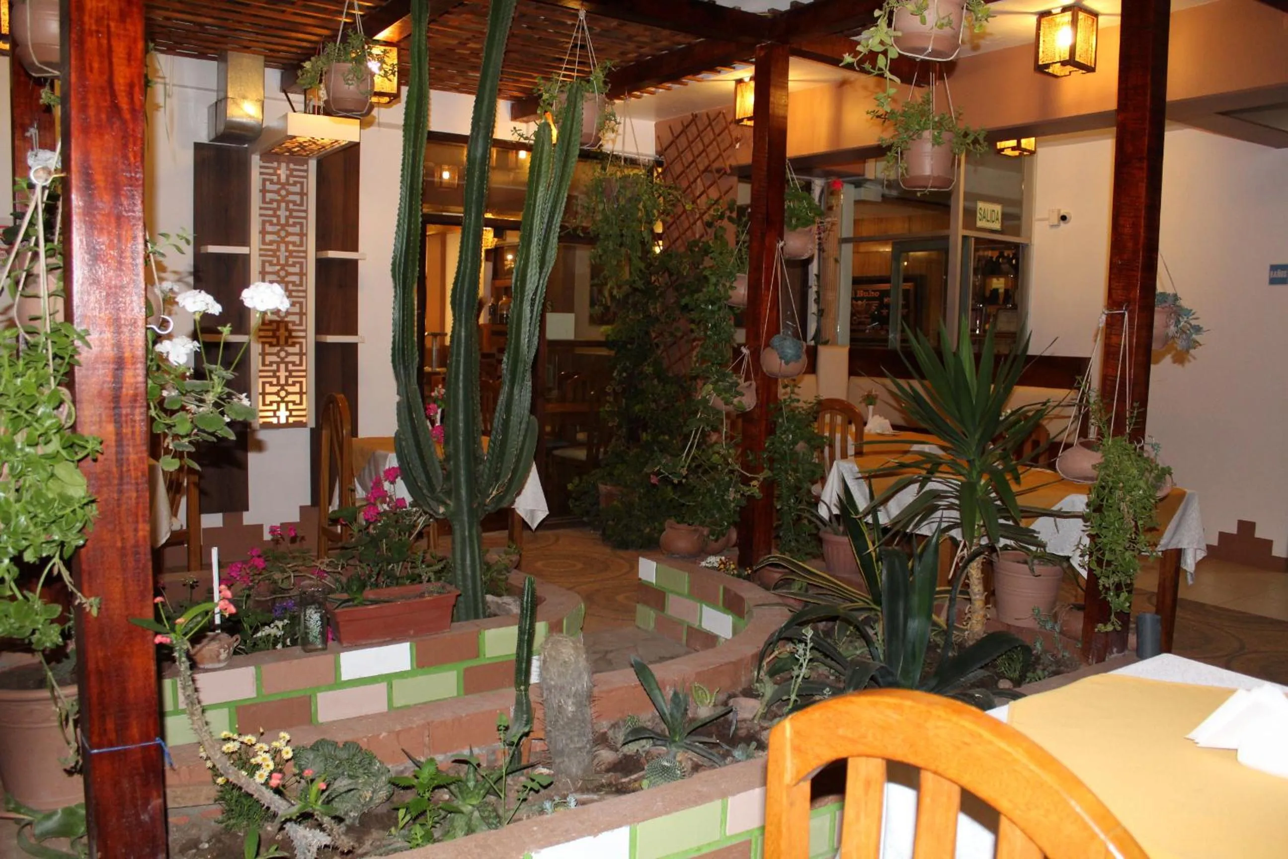 Garden in Kaaro Hotel El Buho