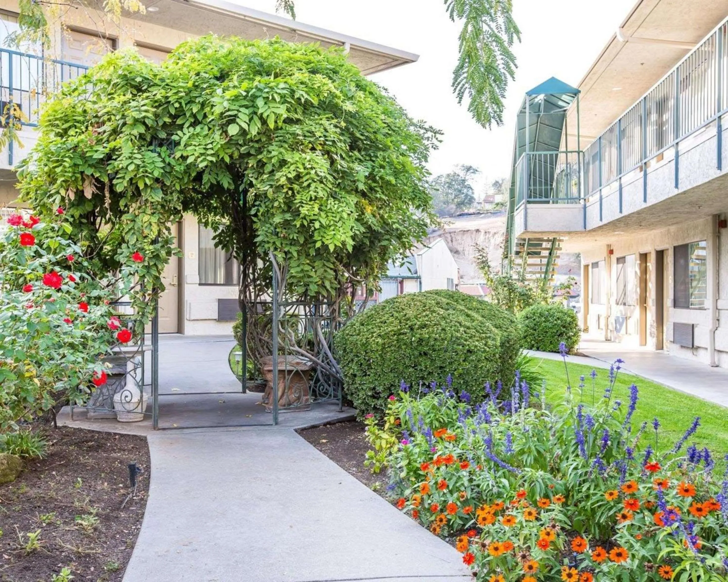 Property Building in The Oakhurst Inn at Yosemite
