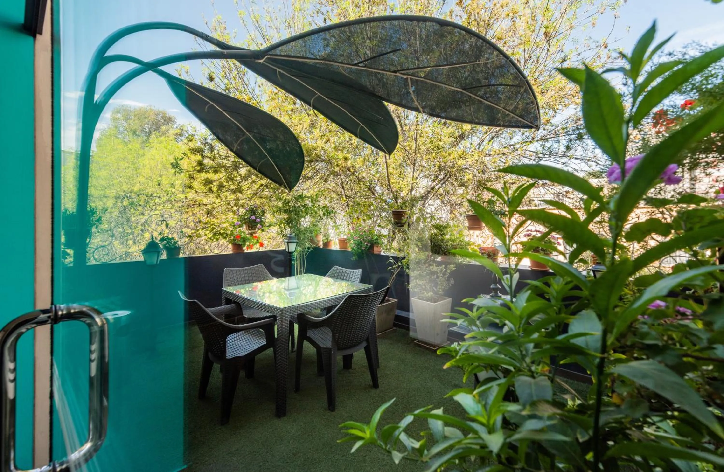 Balcony/Terrace in Dreams Hotel Boutique