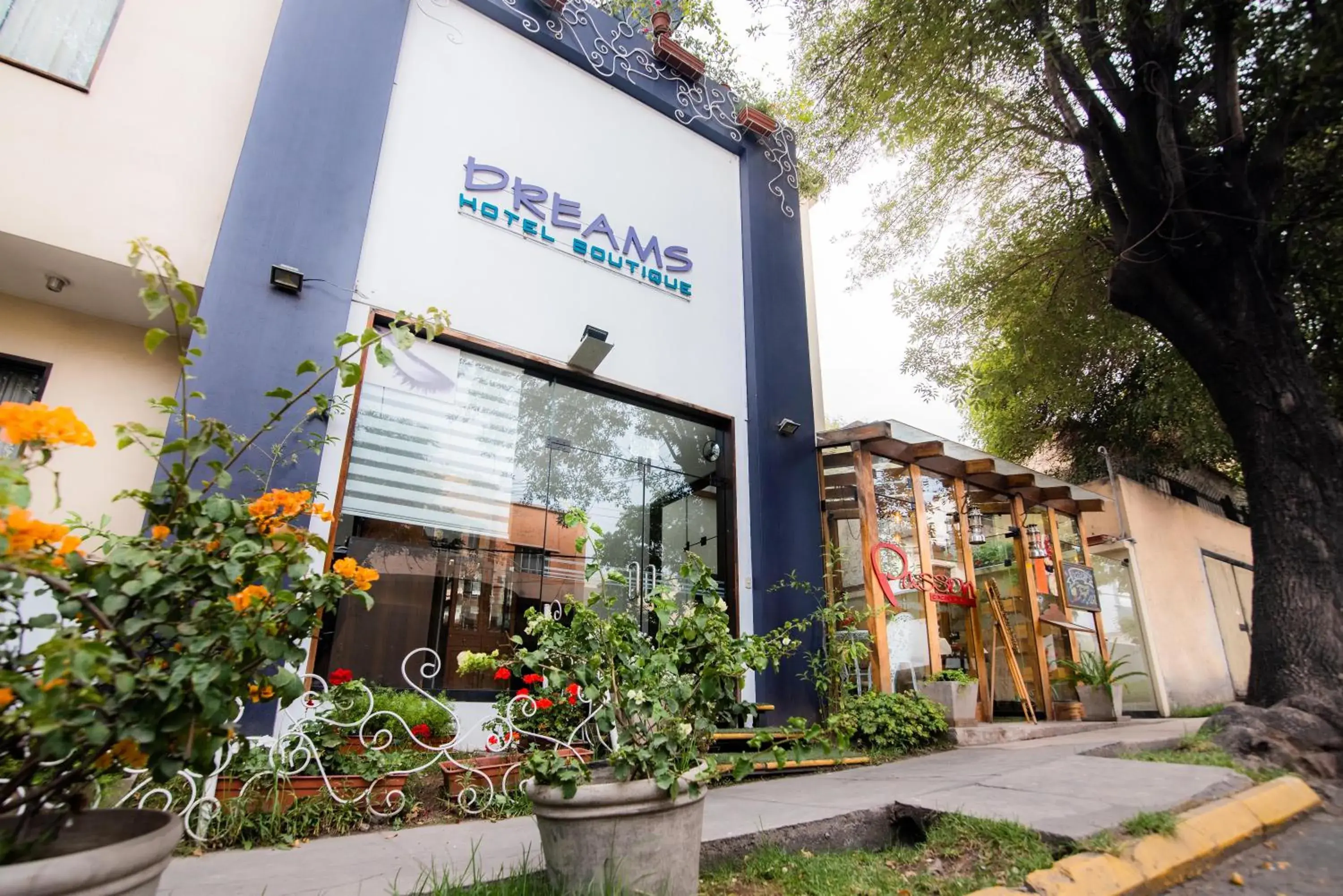 Dreams Hotel Boutique Dreams Hotel Boutique