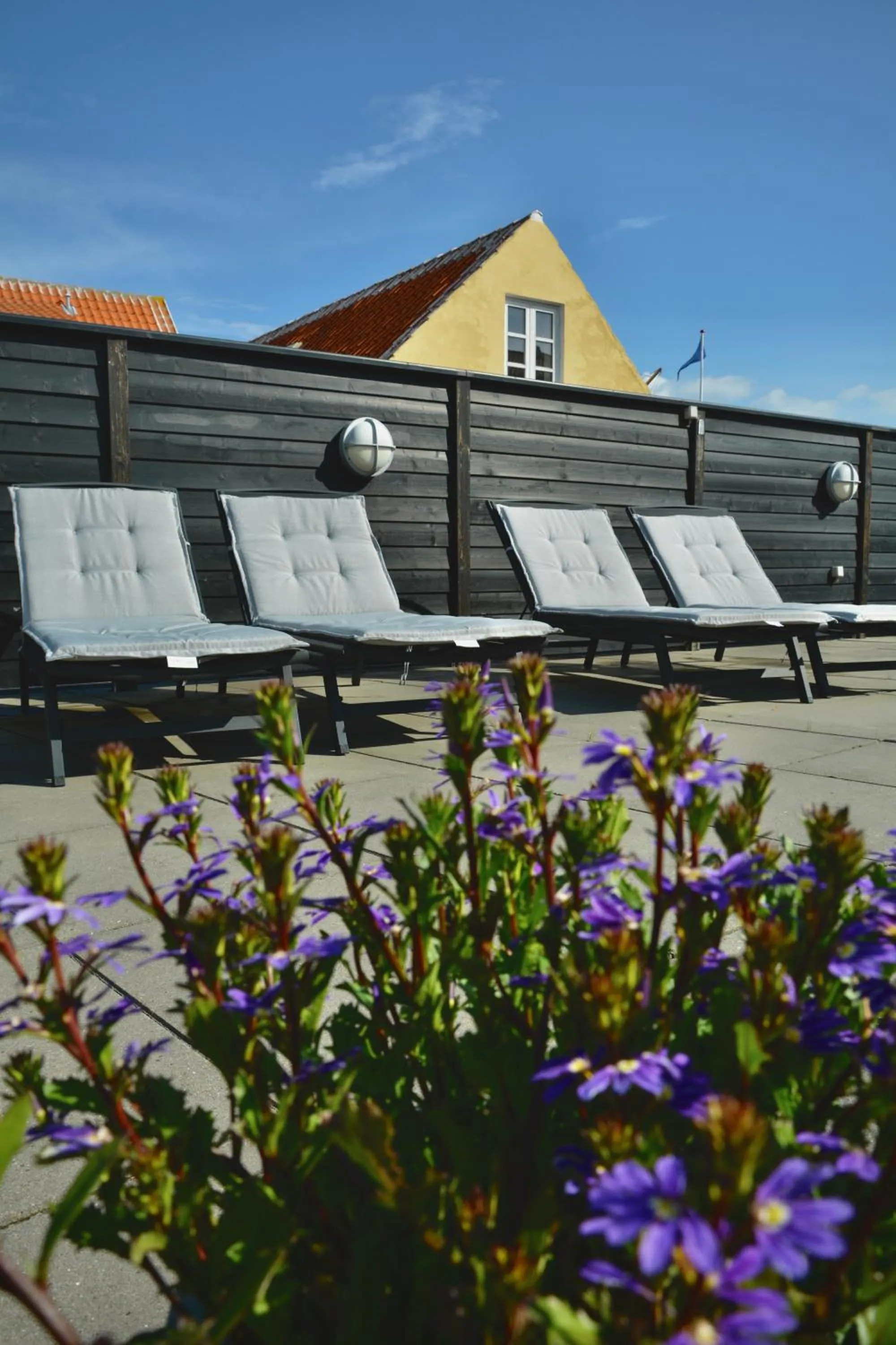Garden in Hotel Marie