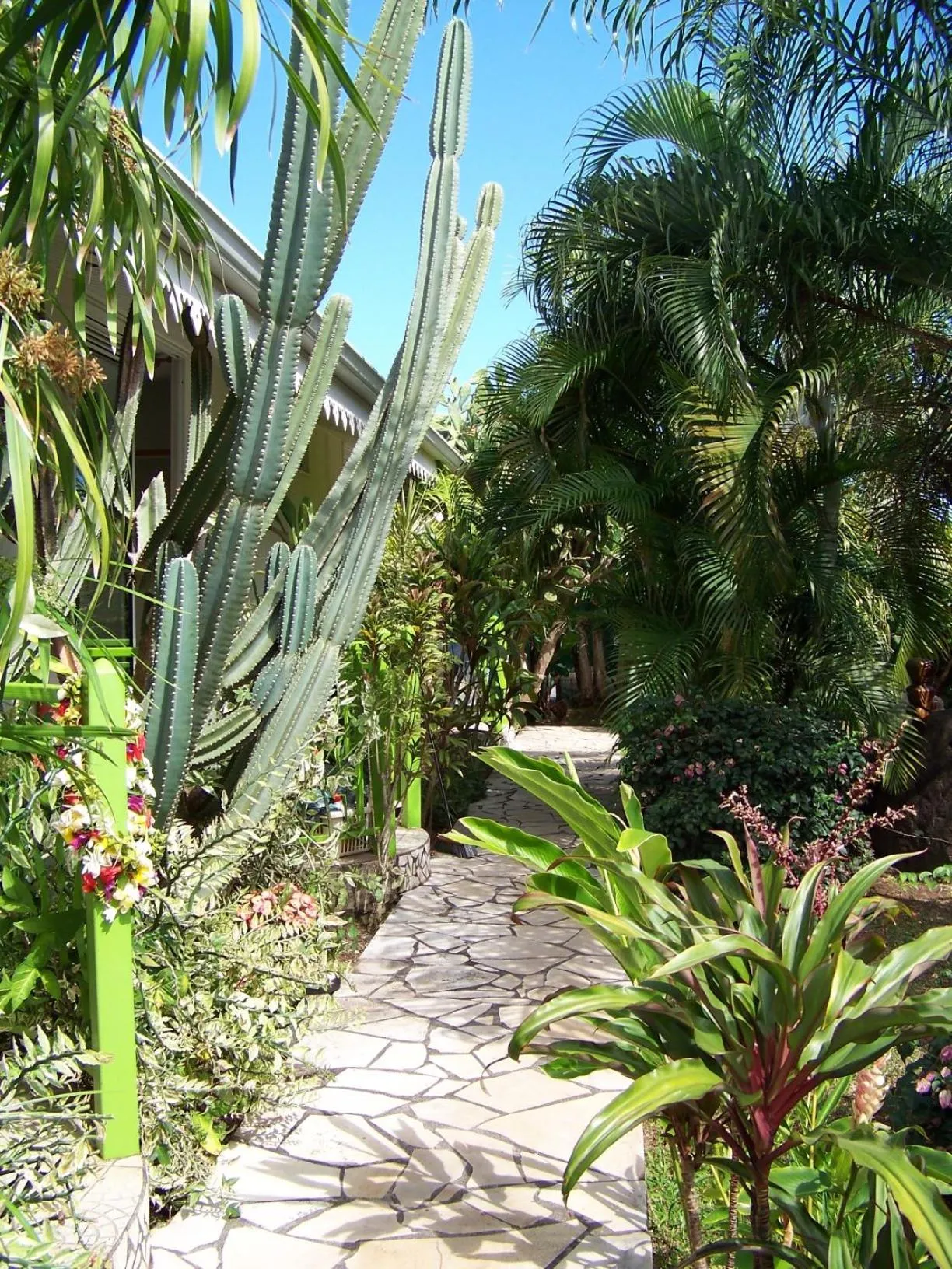 Garden view in Relais Fenua