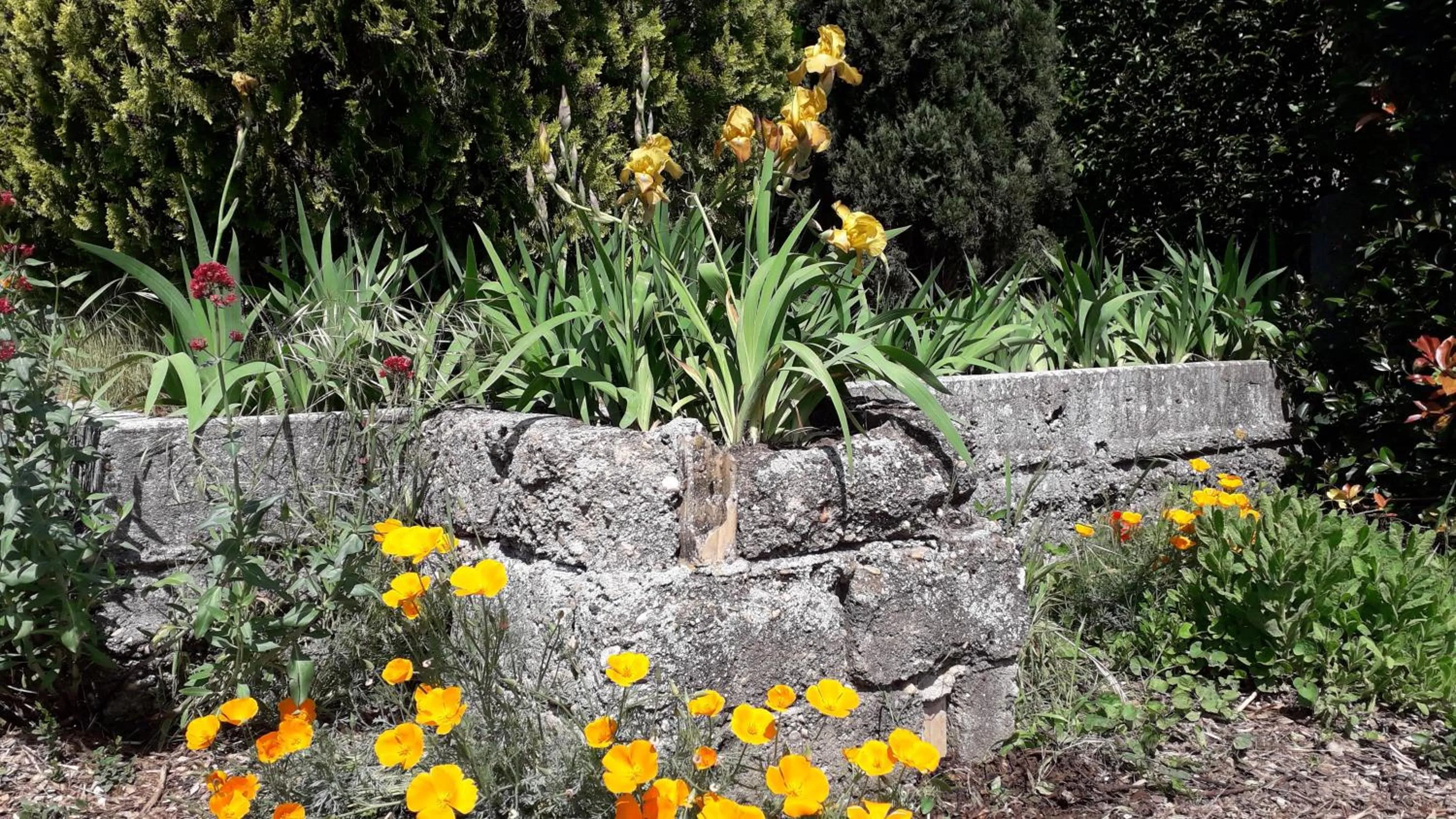 Garden view in GOLF CLUB D'UZES