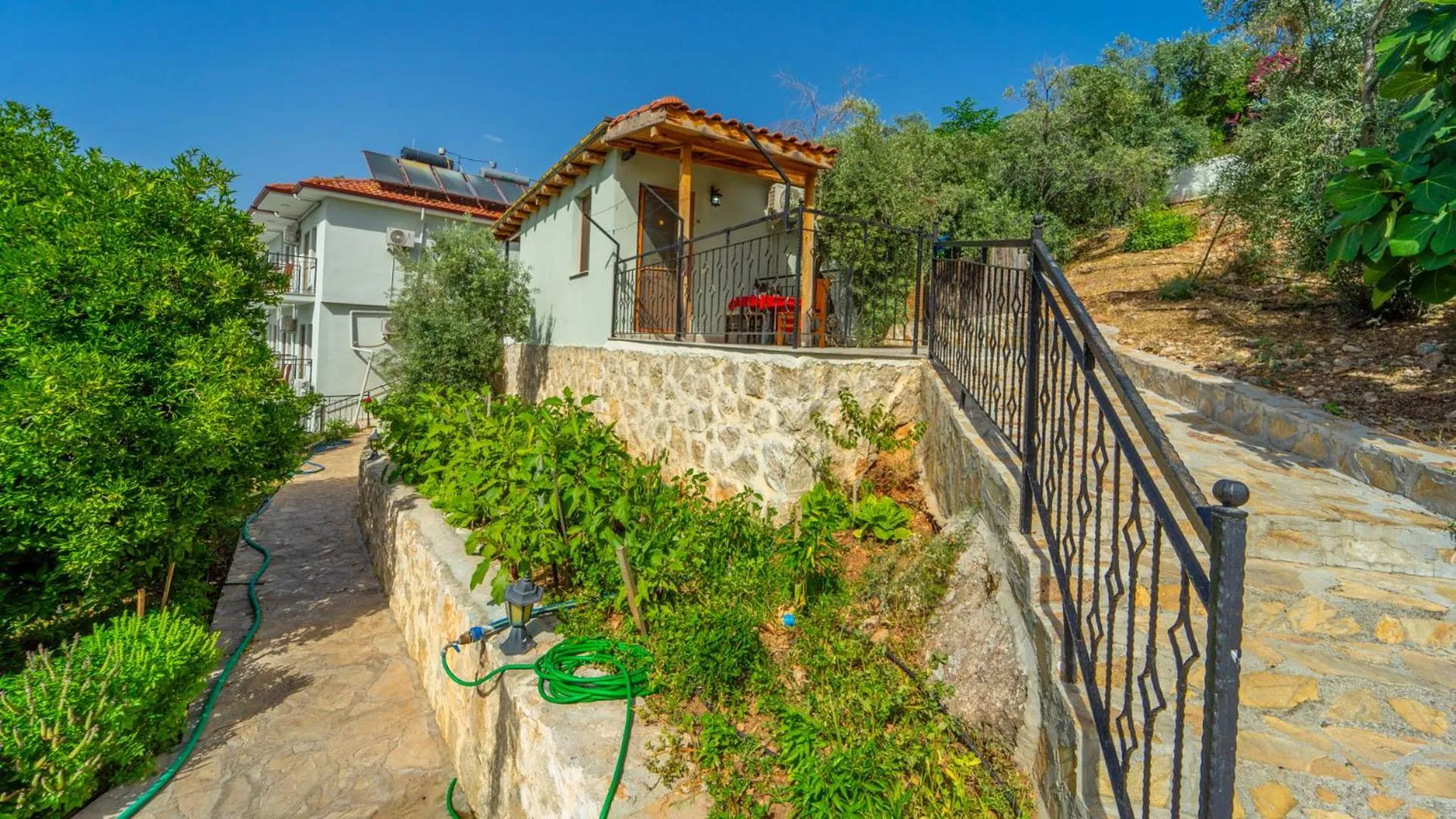 Garden in St. Nicholas Pension