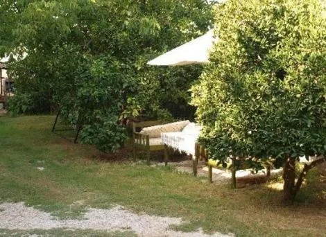 Garden in Akay Hotel