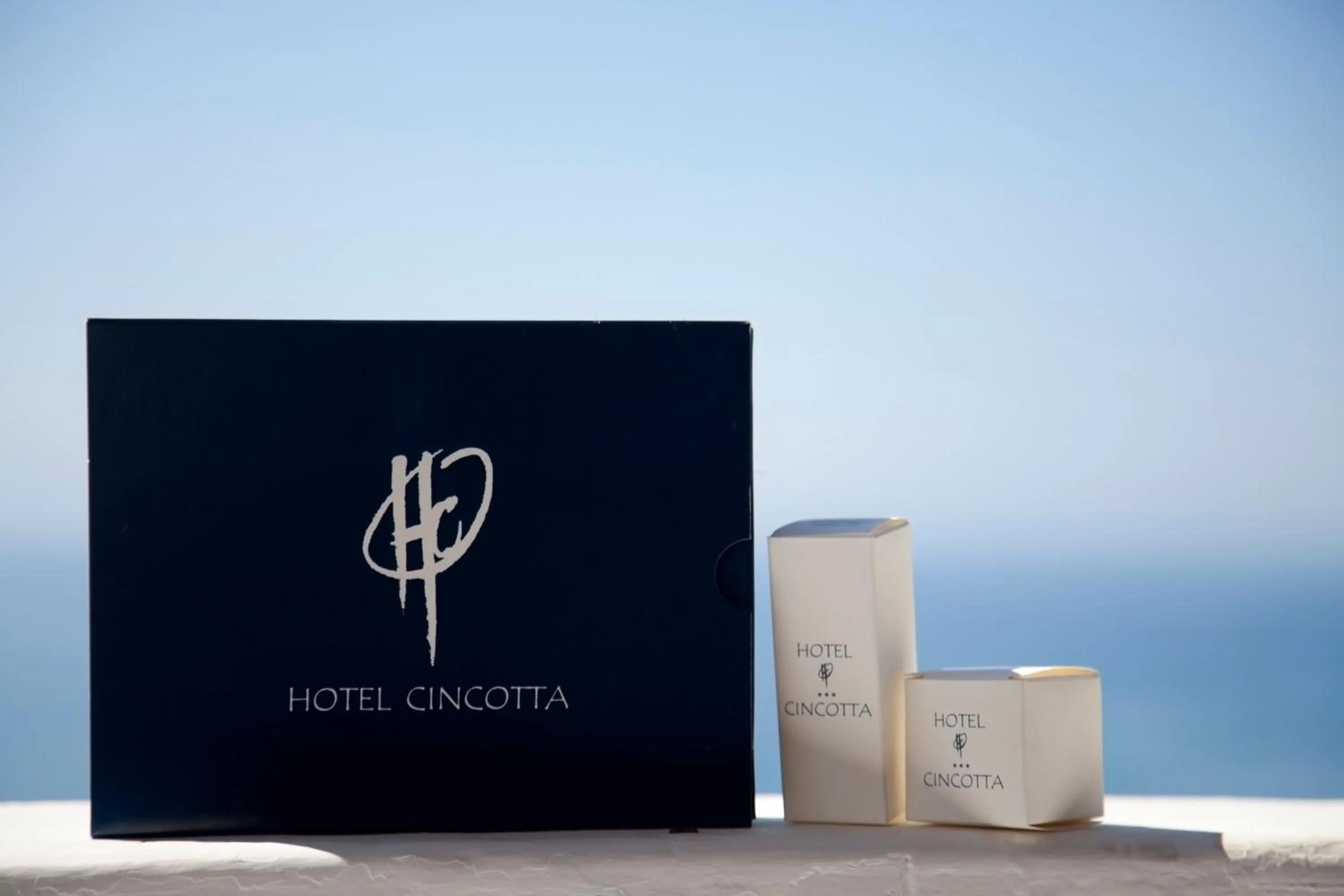 Double or Twin Room in Hotel Cincotta