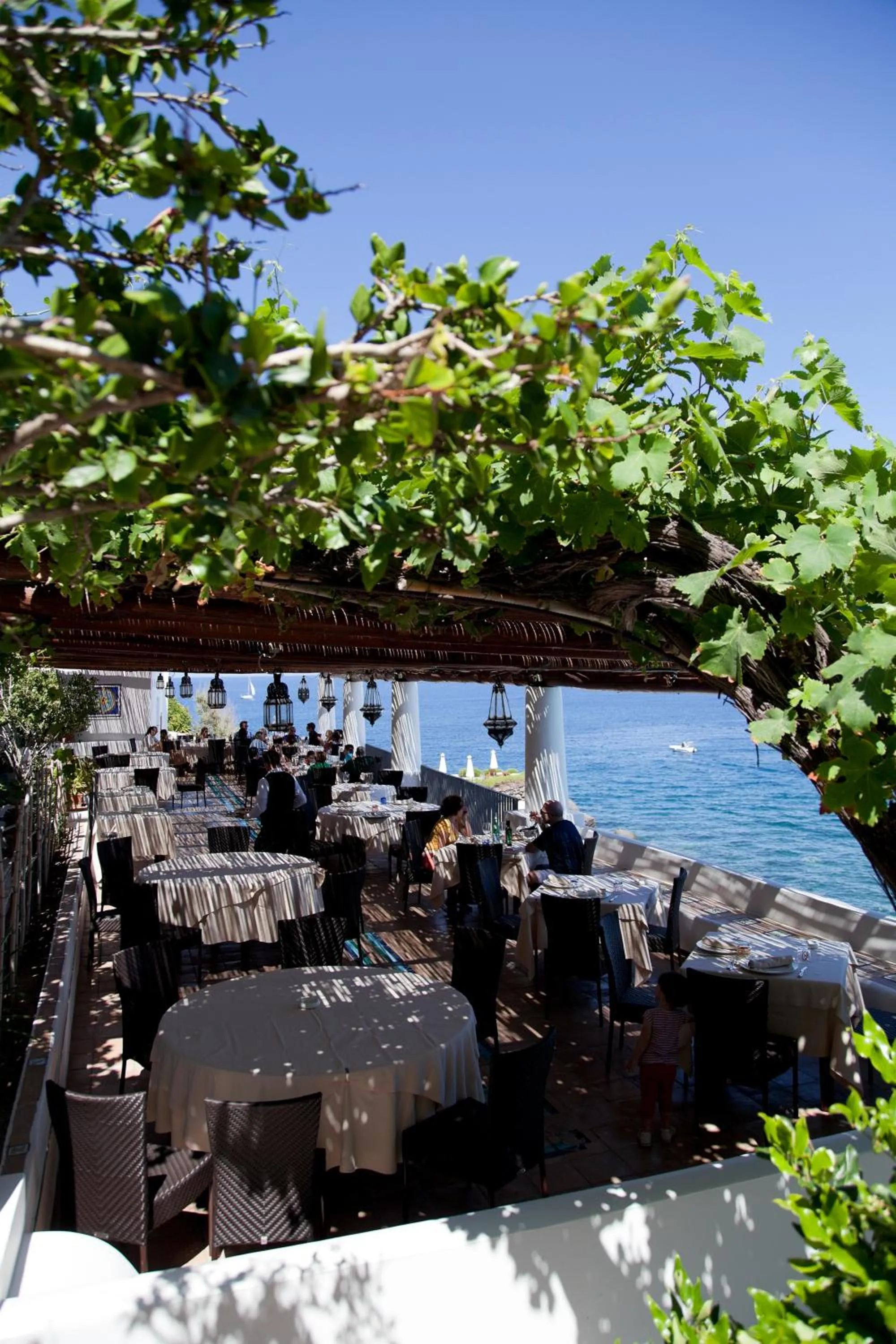 Restaurant/places to eat in Hotel Cincotta