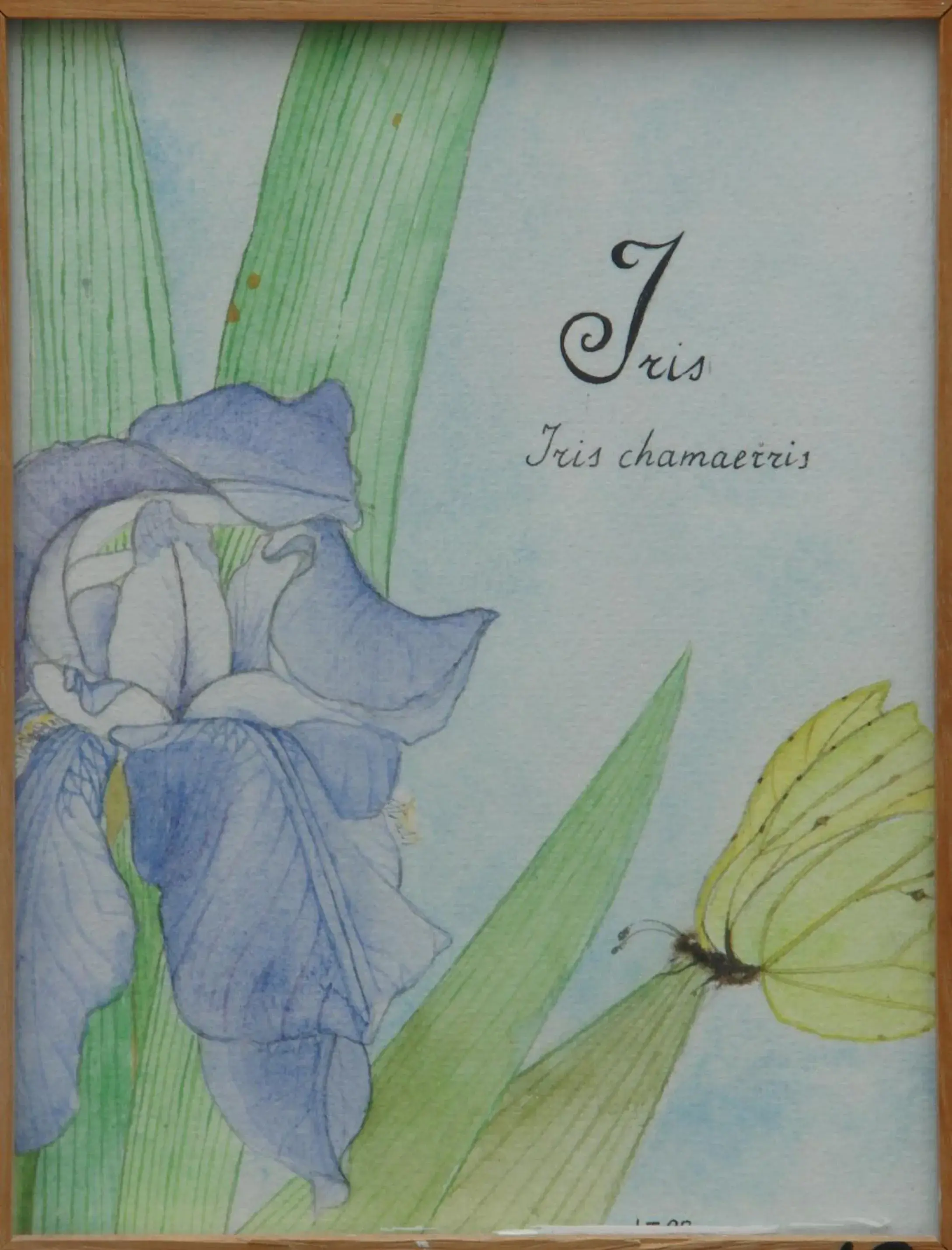 Albergo Boutique Casajanca Albergo Boutique Casajanca