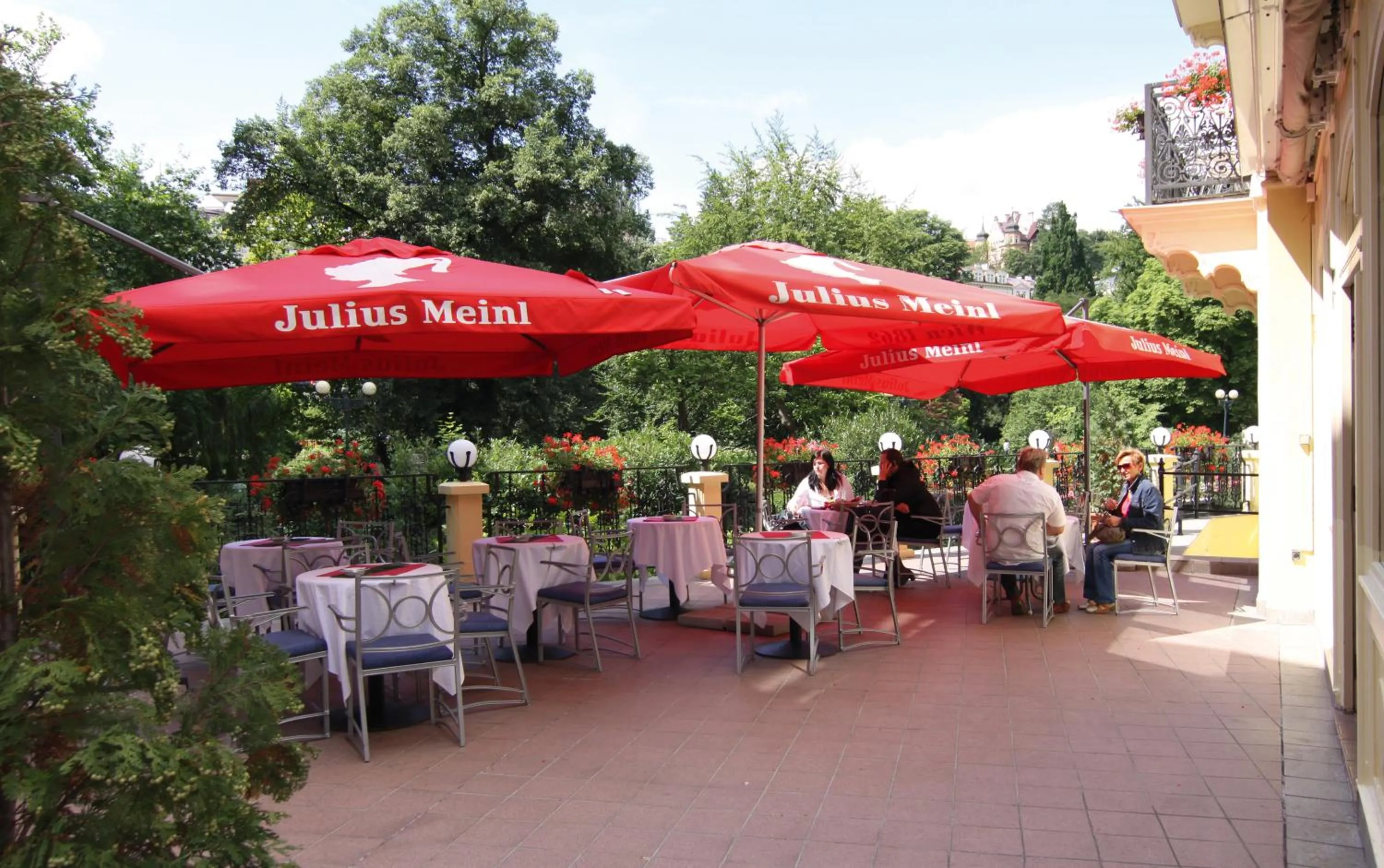 Balcony/Terrace in Hotel Pavlov