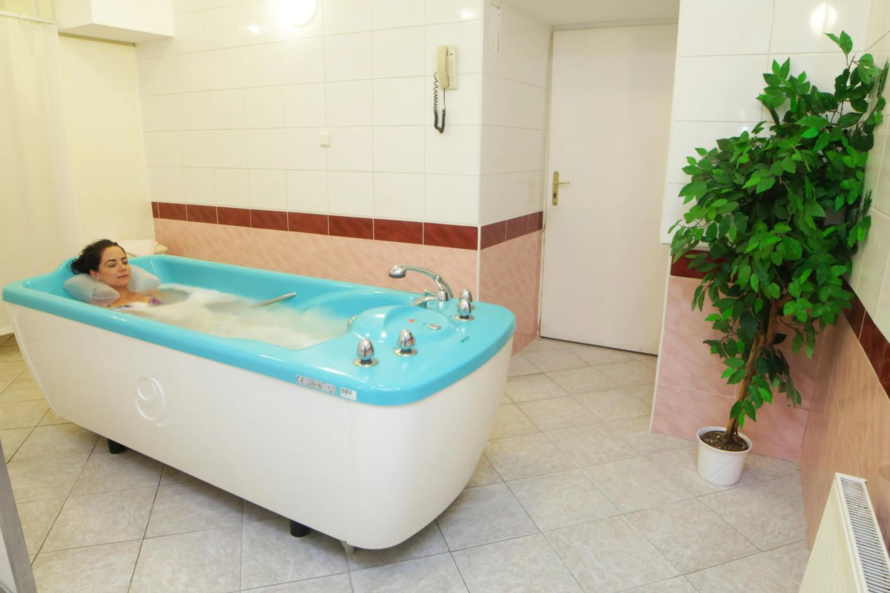 Hot Spring Bath in Hotel Pavlov