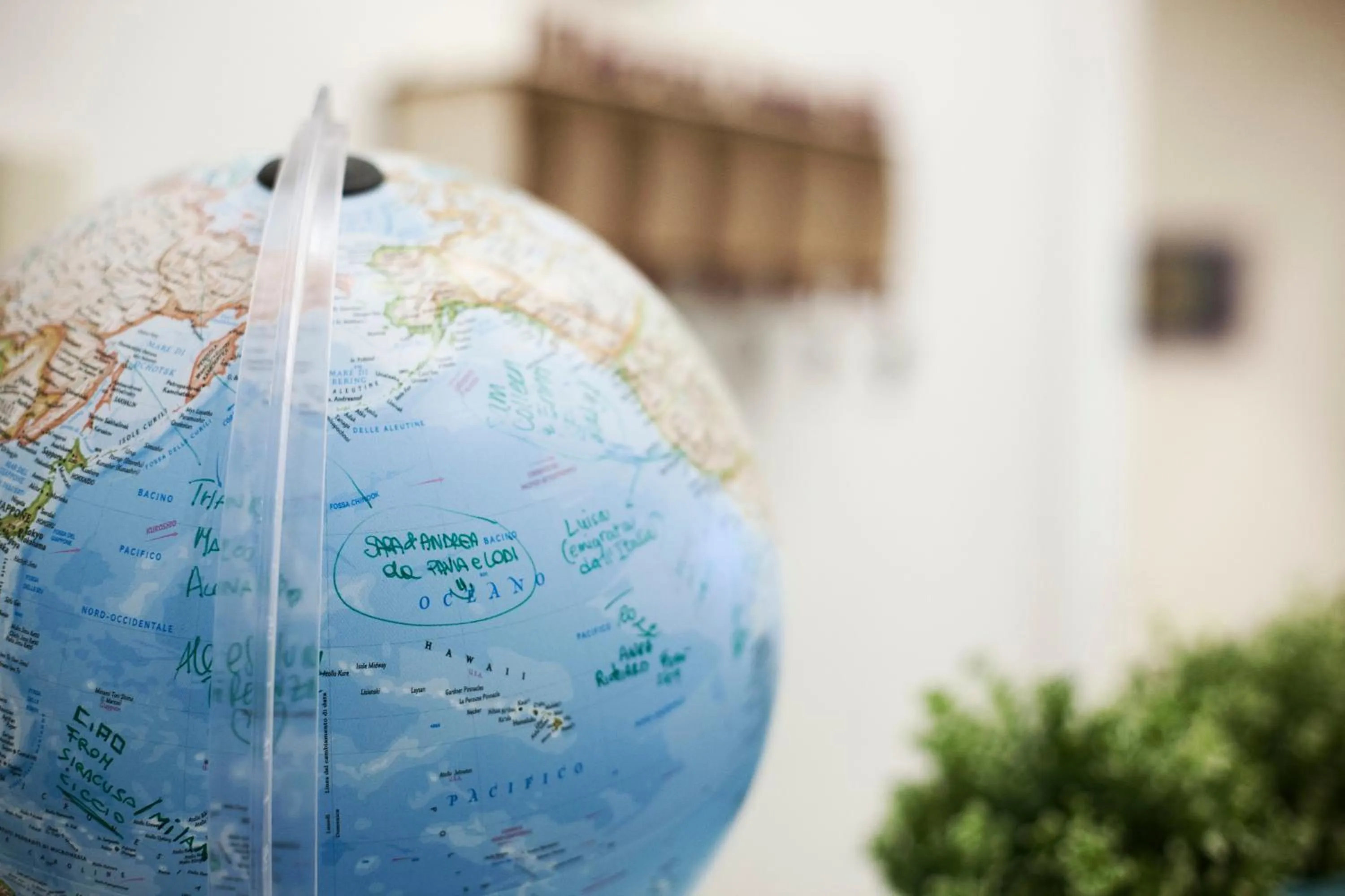 Day in B&B Martucci Avenue