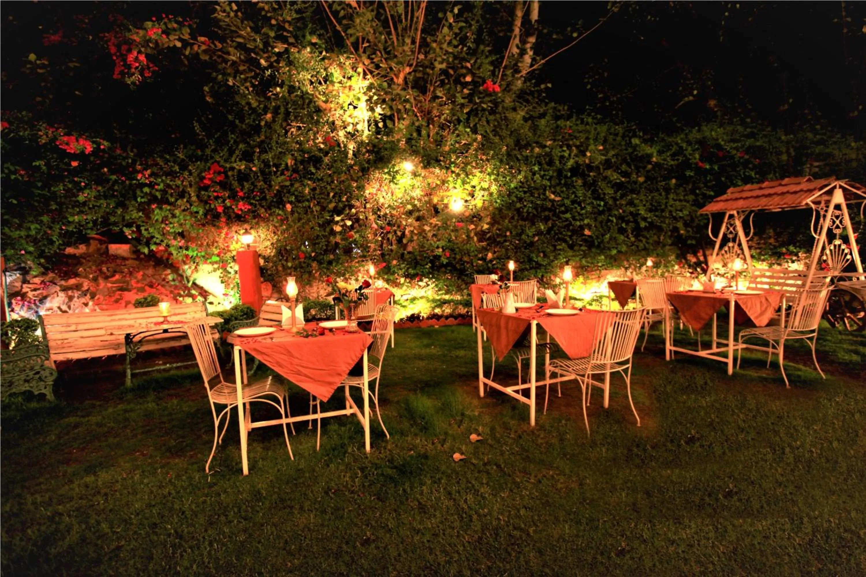 Restaurant/places to eat in The Kothi Heritage