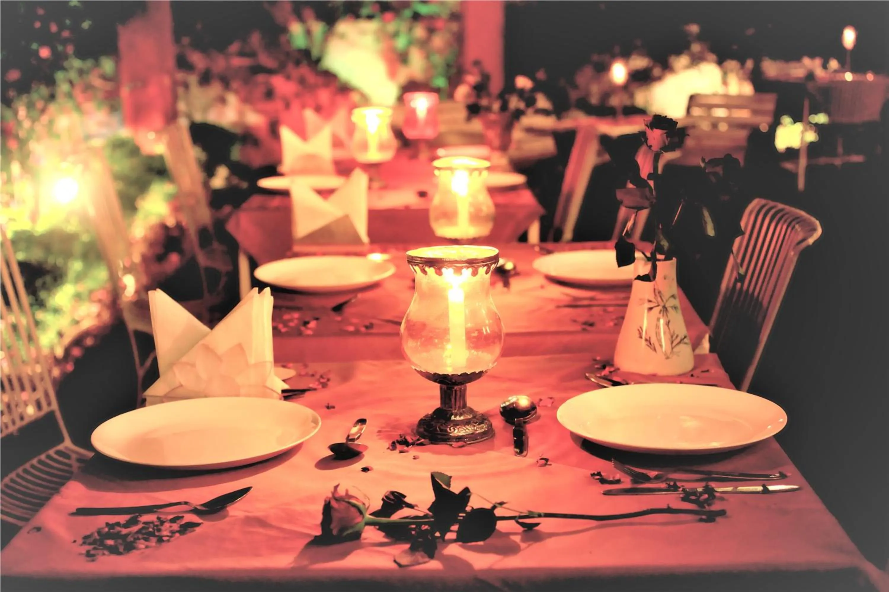 Restaurant/places to eat in The Kothi Heritage