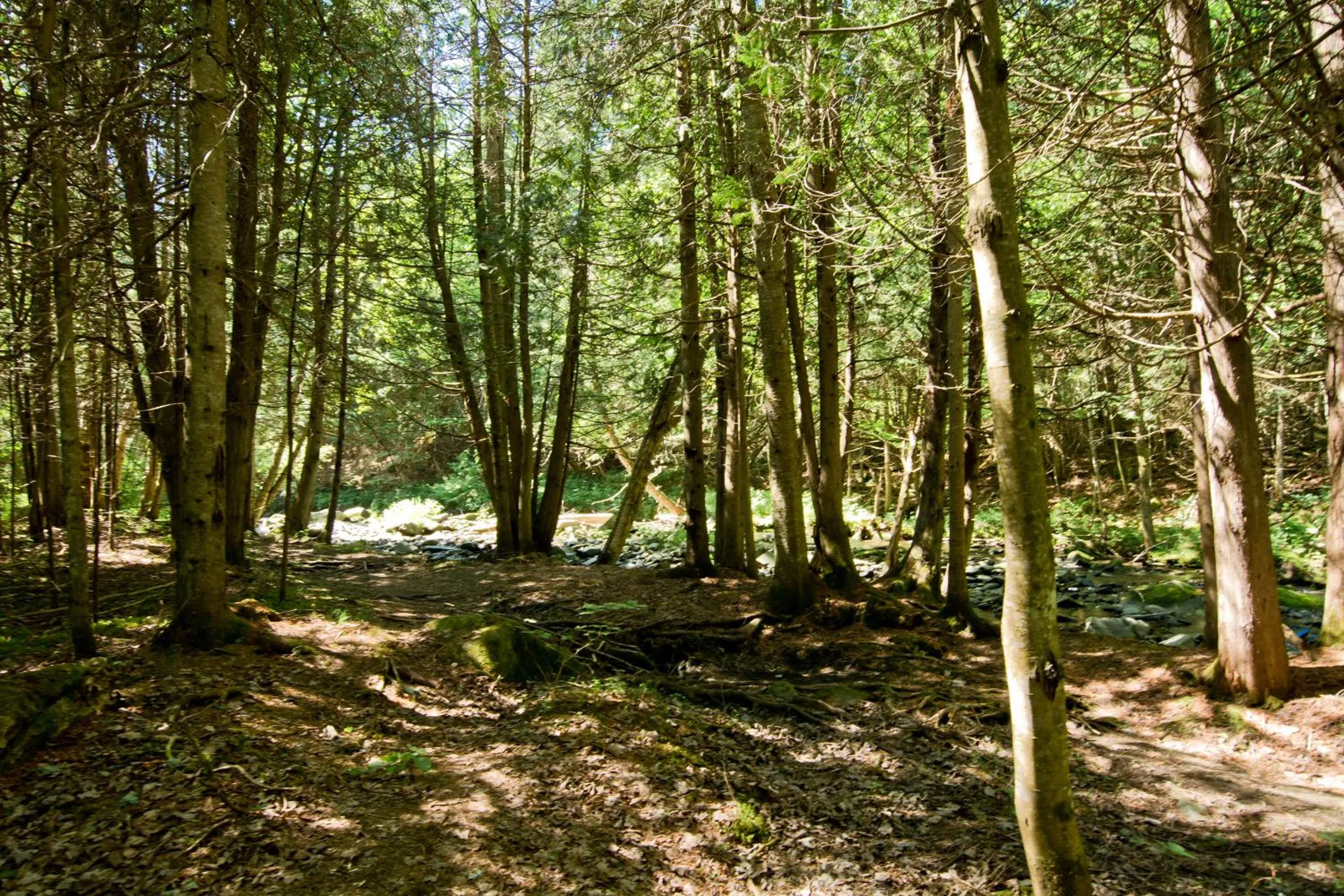 Camping Chalets Spas Pignons Rouges