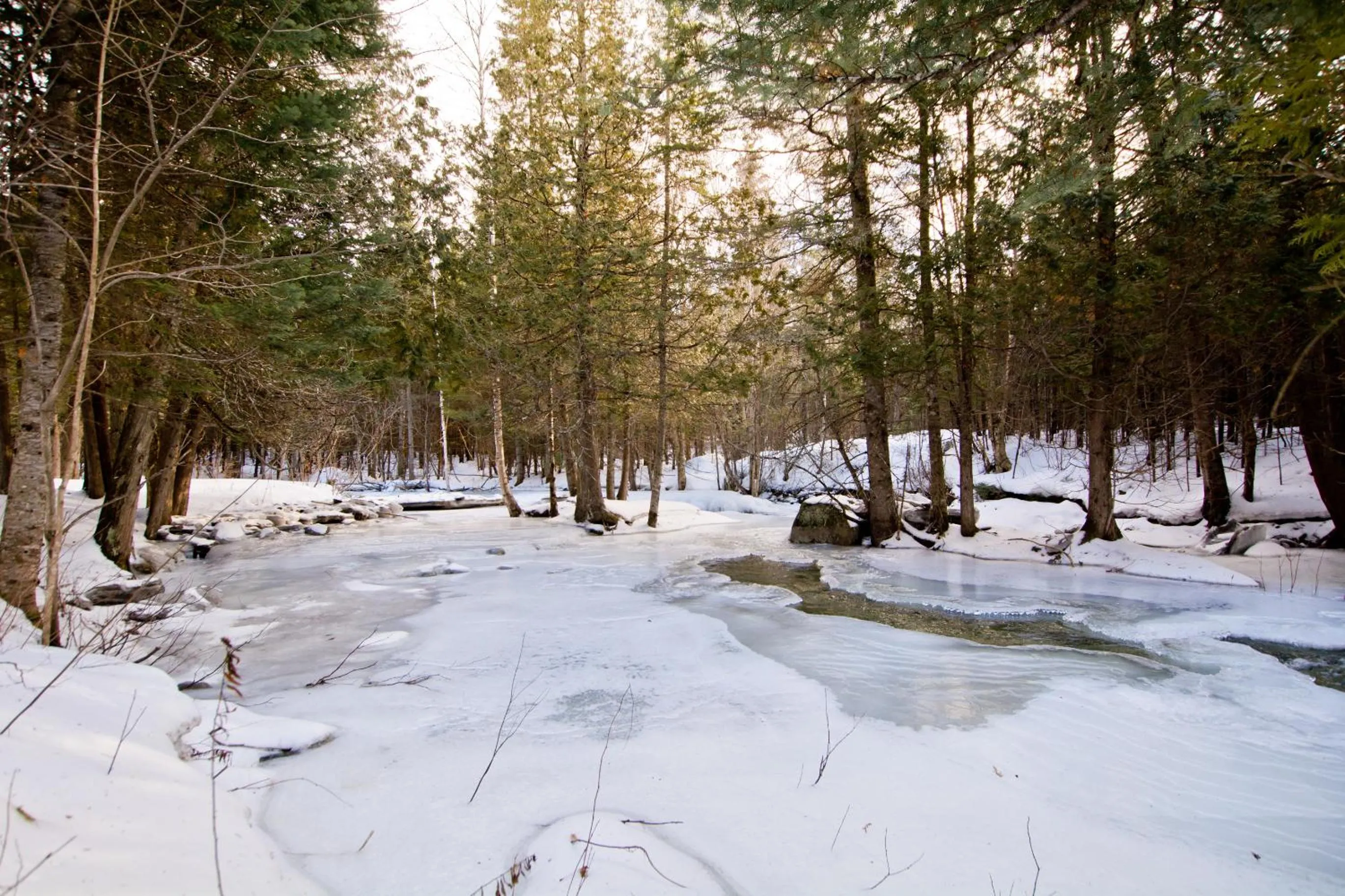 On site in Camping Chalets Spas Pignons Rouges