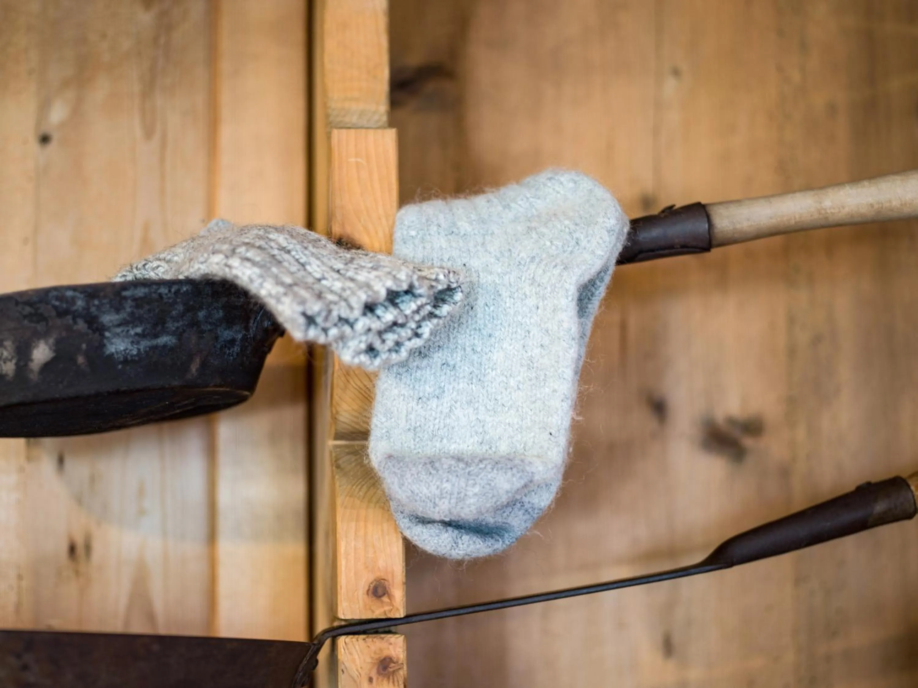 Restaurant/places to eat in Hotel Glockenstuhl