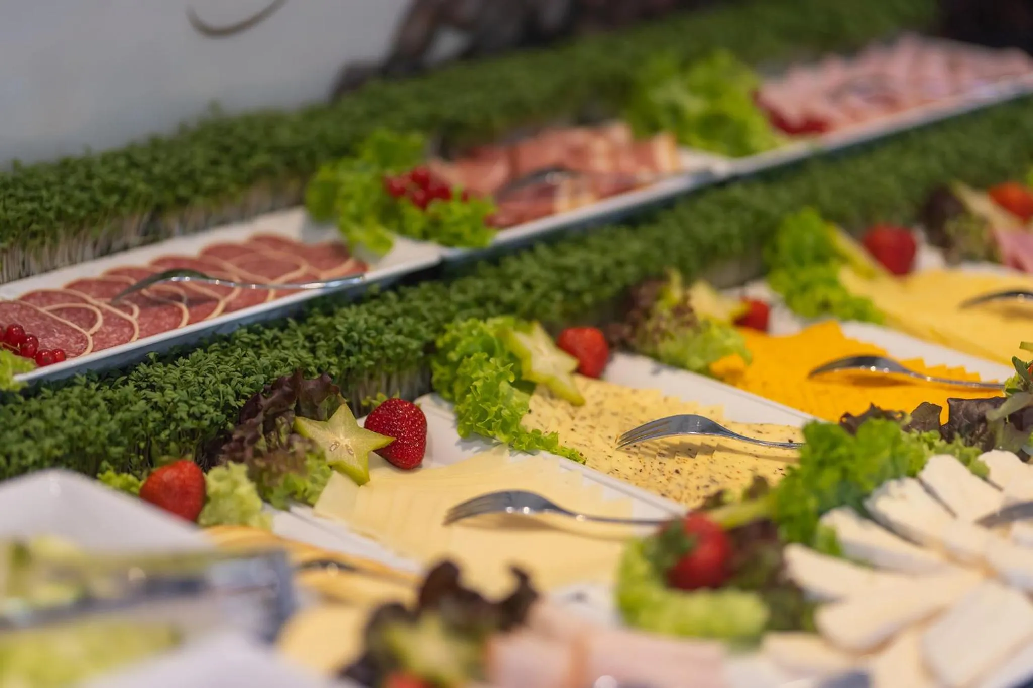 Food and drinks in Boardinghouse HOME - adults only -