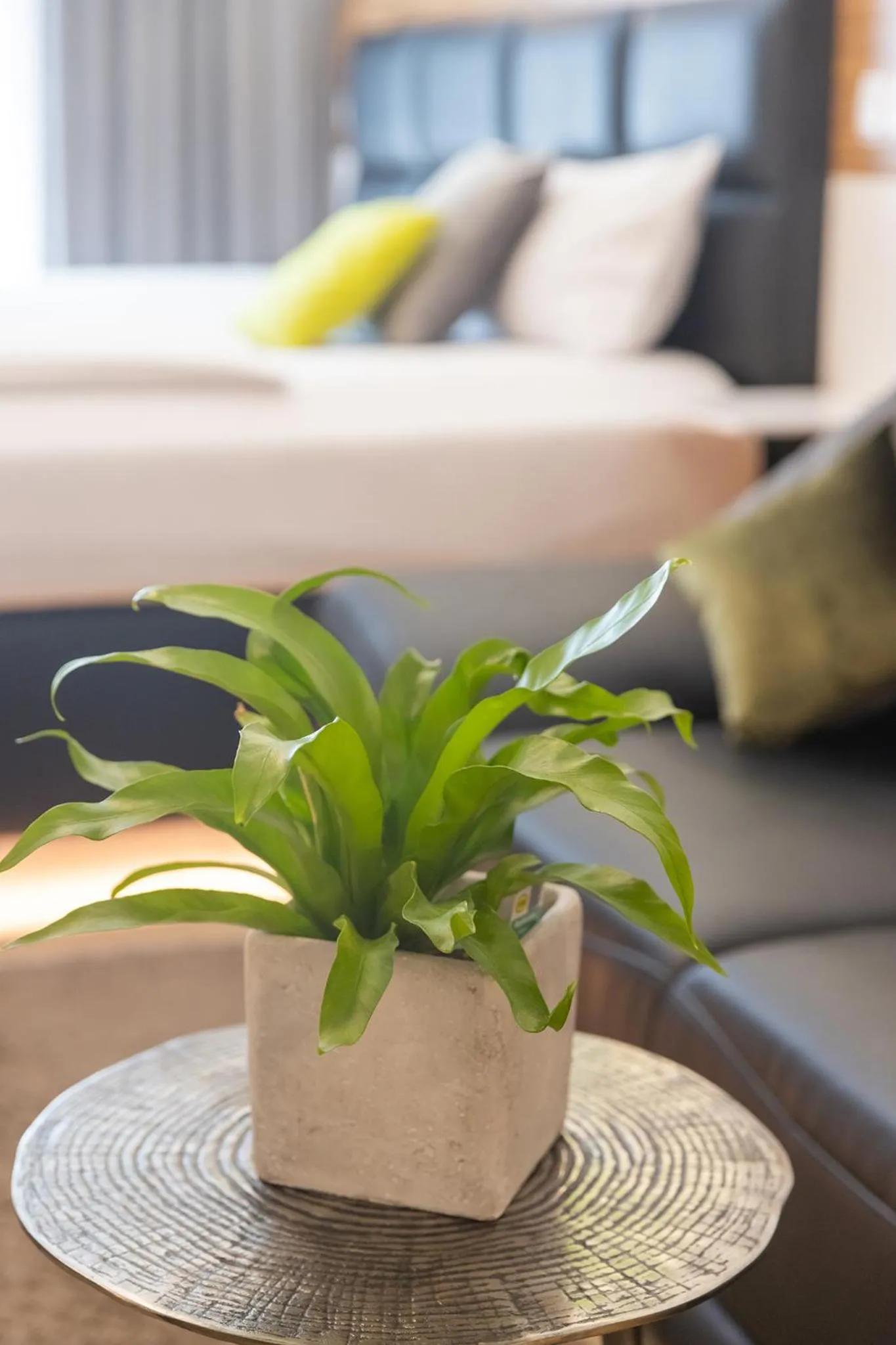 Boardinghouse HOME - adults only -