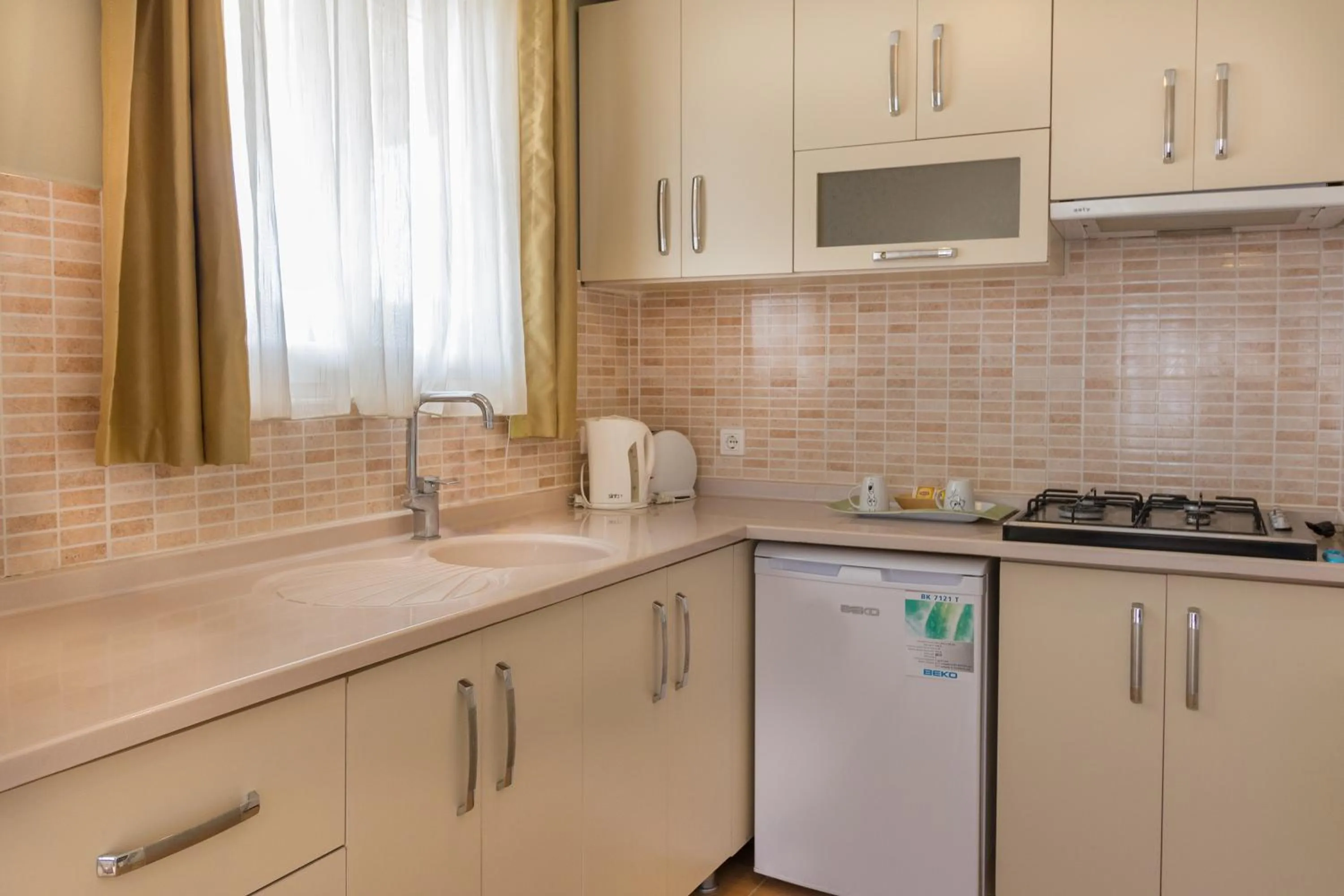 Kitchen or kitchenette in Hotel Dost