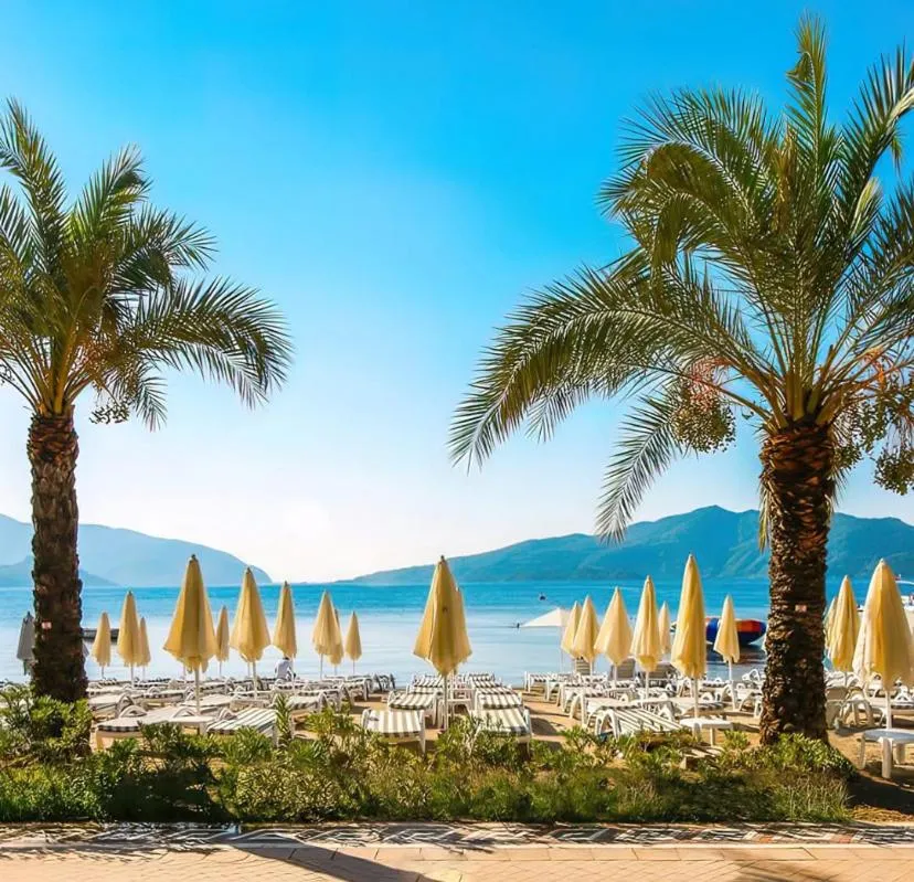 Beach in Aurasia Beach Hotel