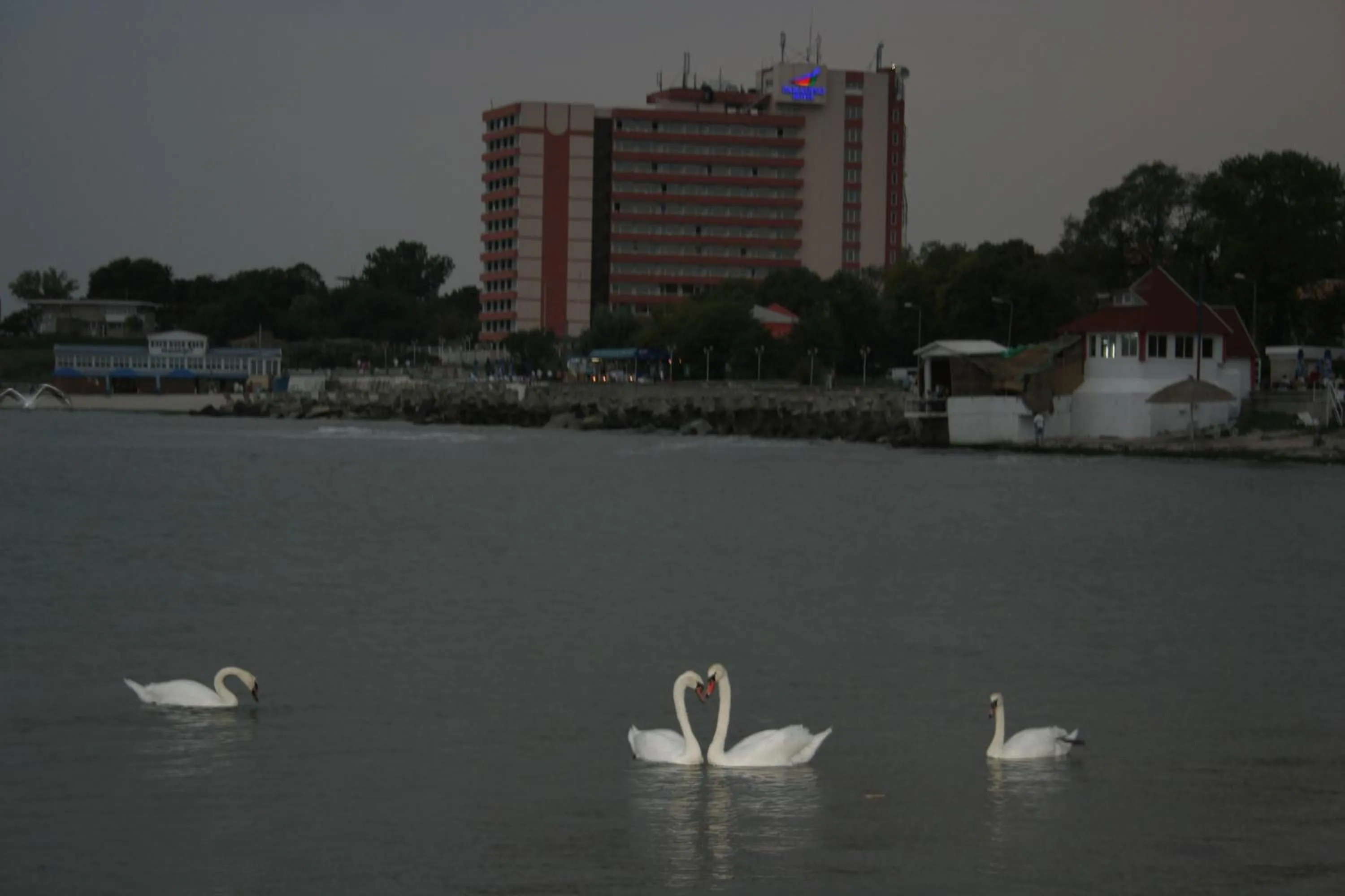 Facade/entrance in Hotel Paradiso