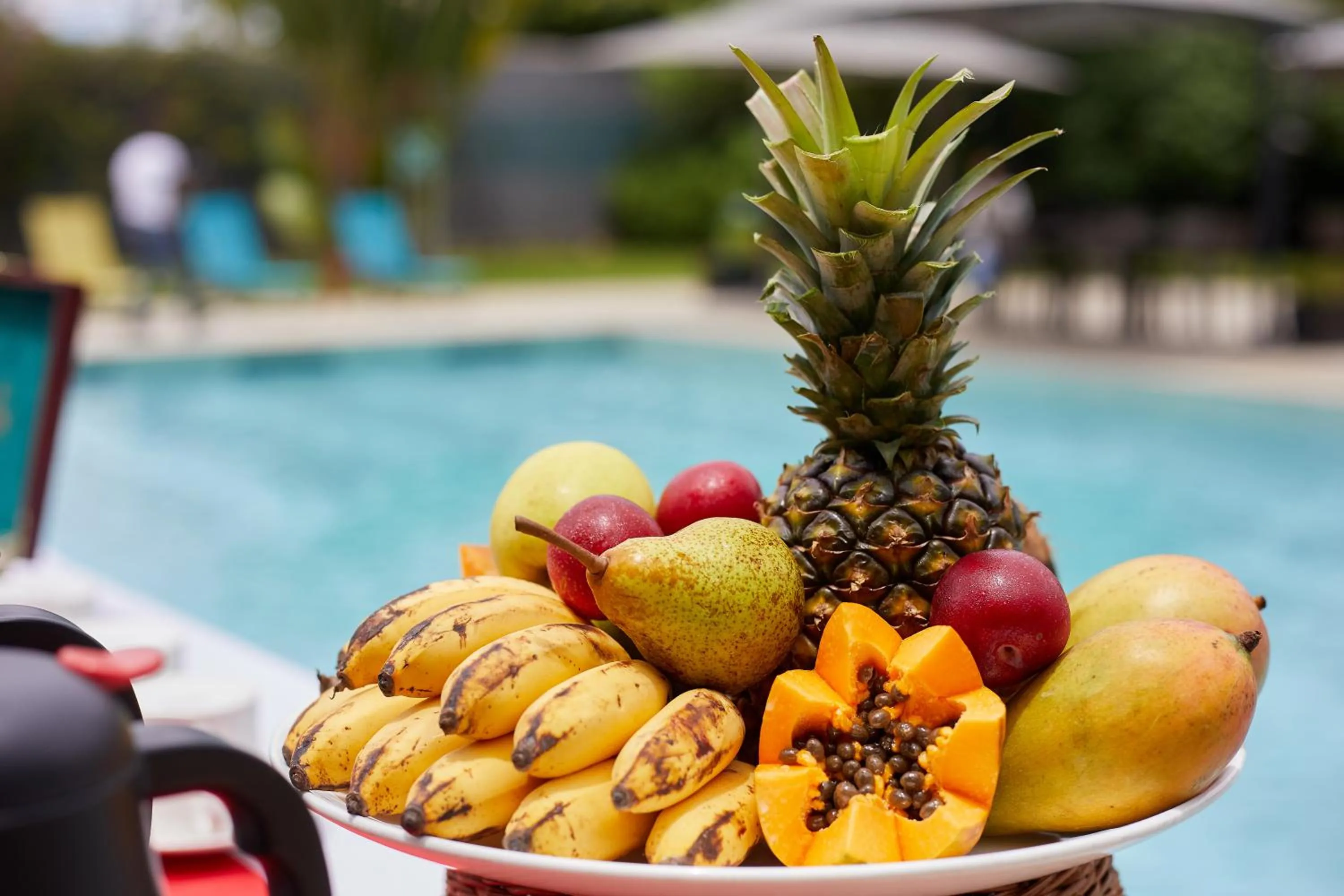 Garden in Ibis Antananarivo Ankorondrano