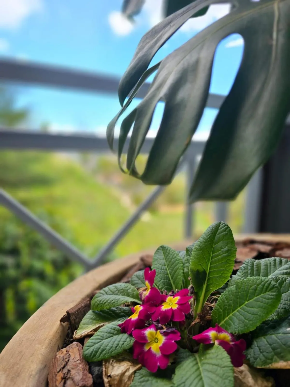 Natural landscape in Pousada de Charme Vila Natal