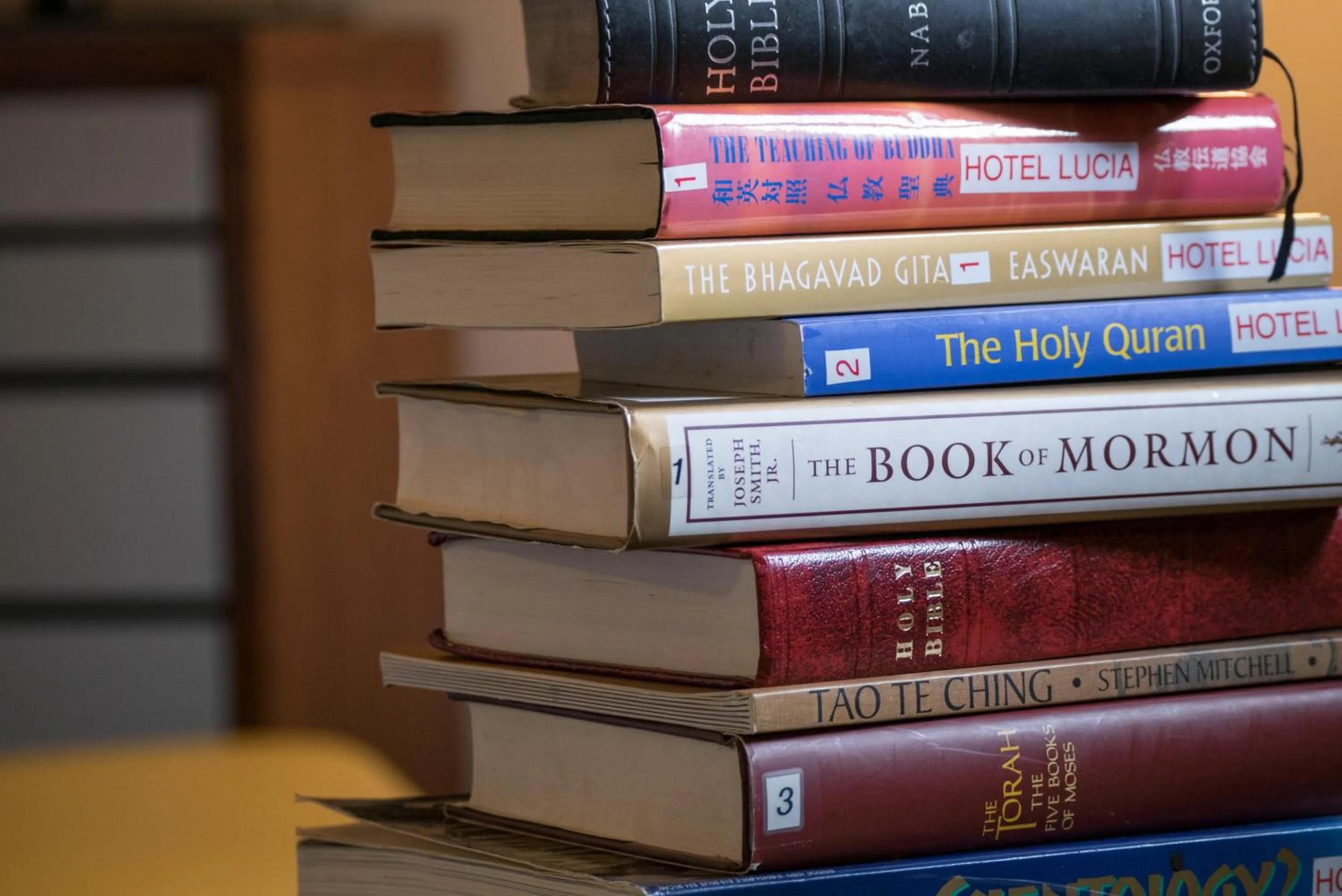 Library in Hotel Lucia