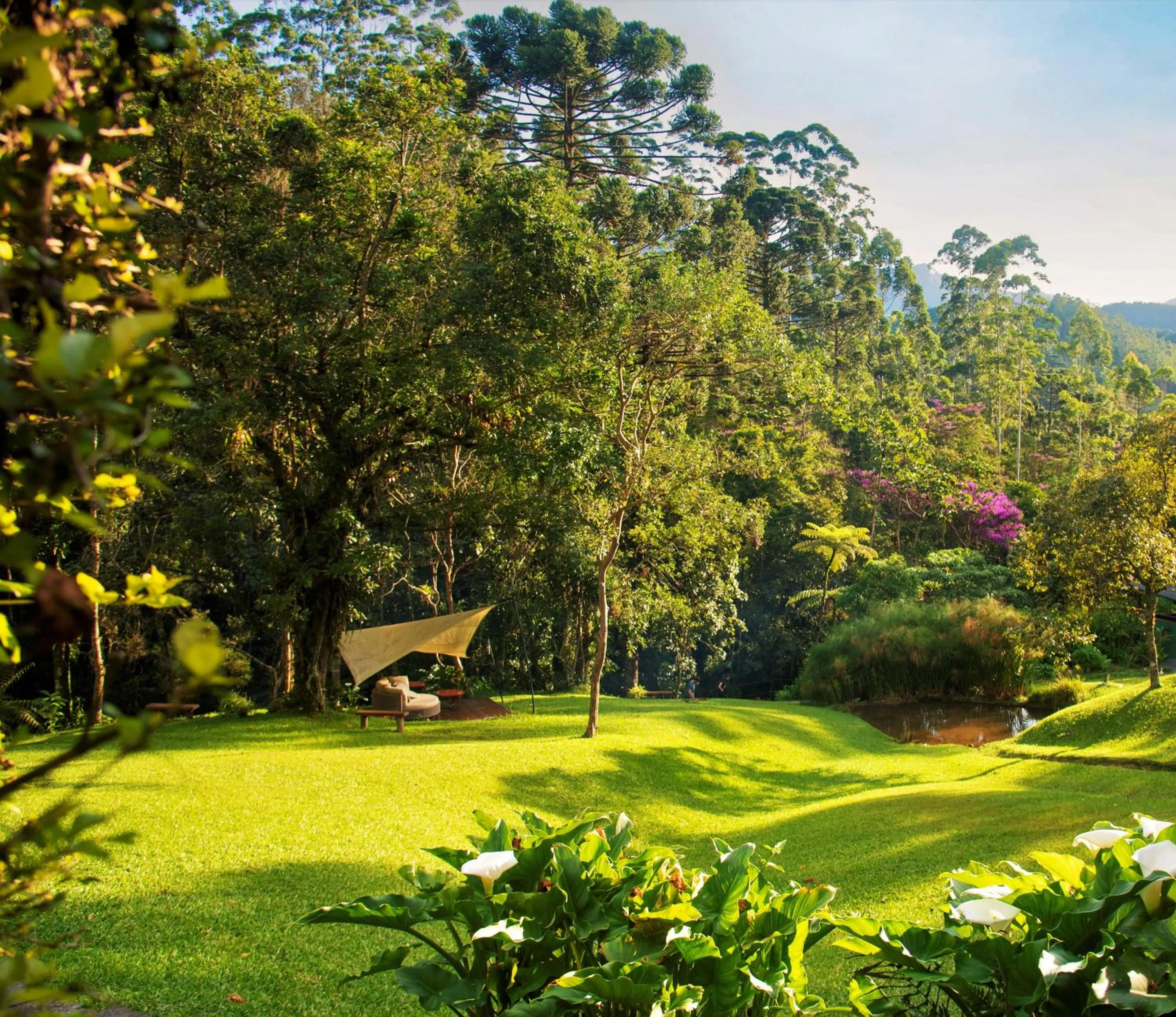 Garden in Pousada Tijupá