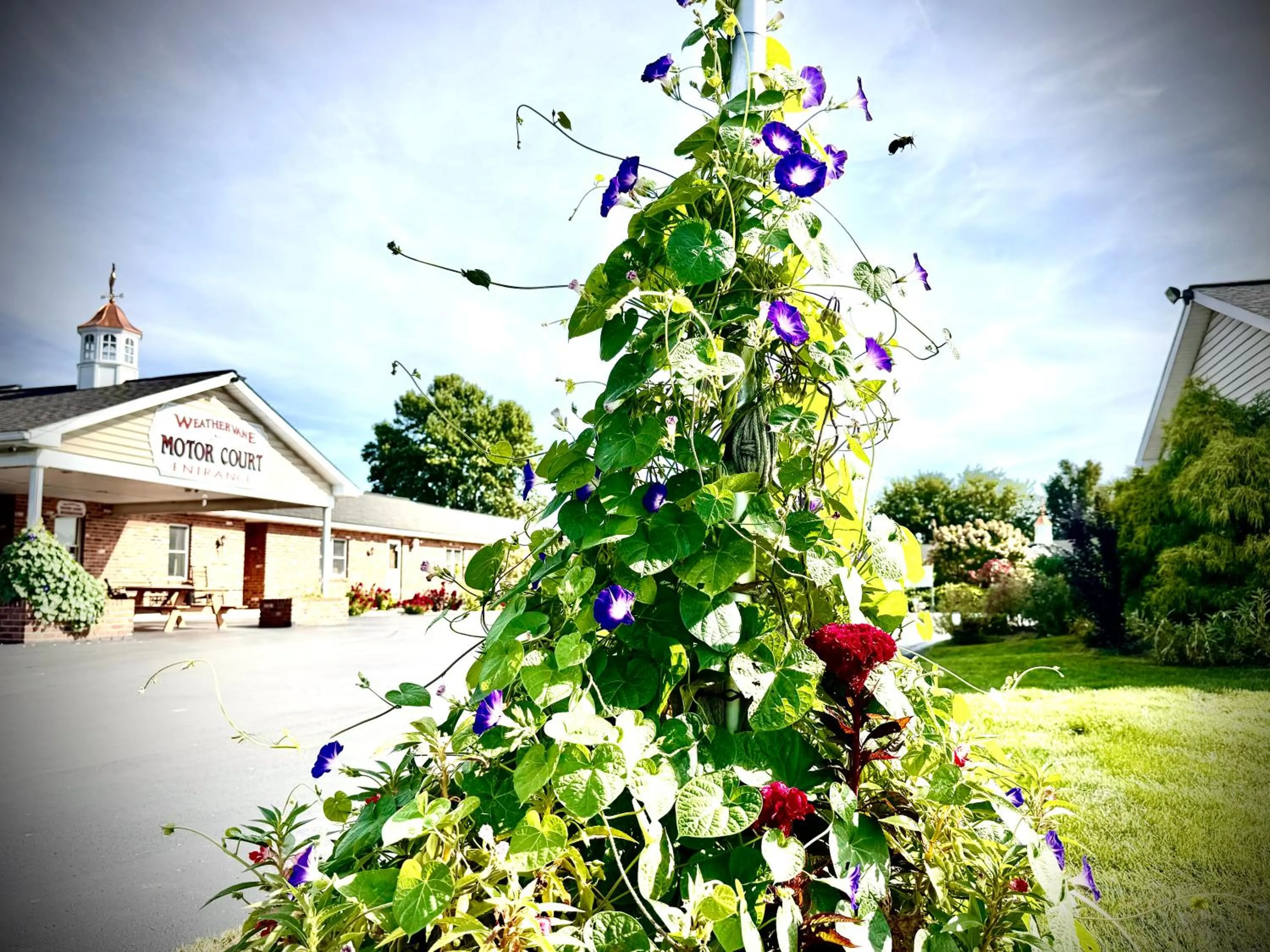 Property building in Weathervane Motor Court