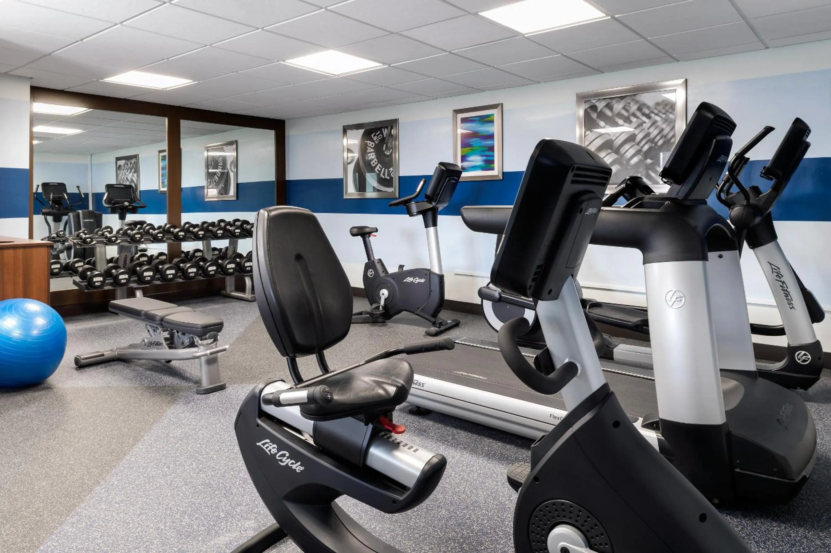 Fitness centre/facilities in Four Points by Sheraton Barrie