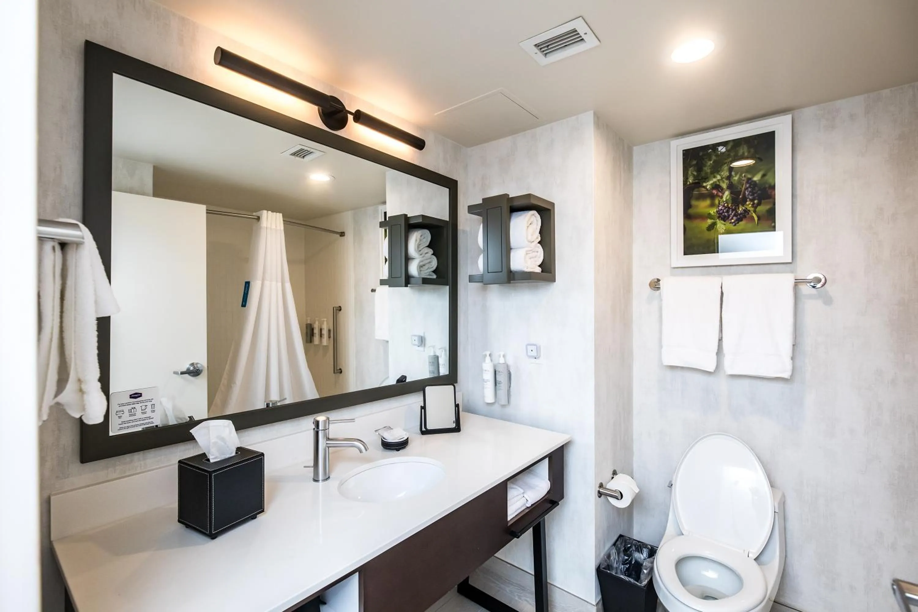 Hampton Inn & Suites Dobson